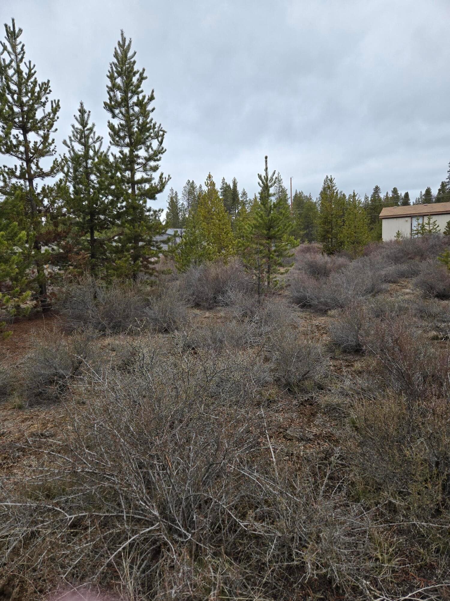 20260312_114205. Photo 3 of 5, 16349 Sparks Drive, La Pine, OR 97739