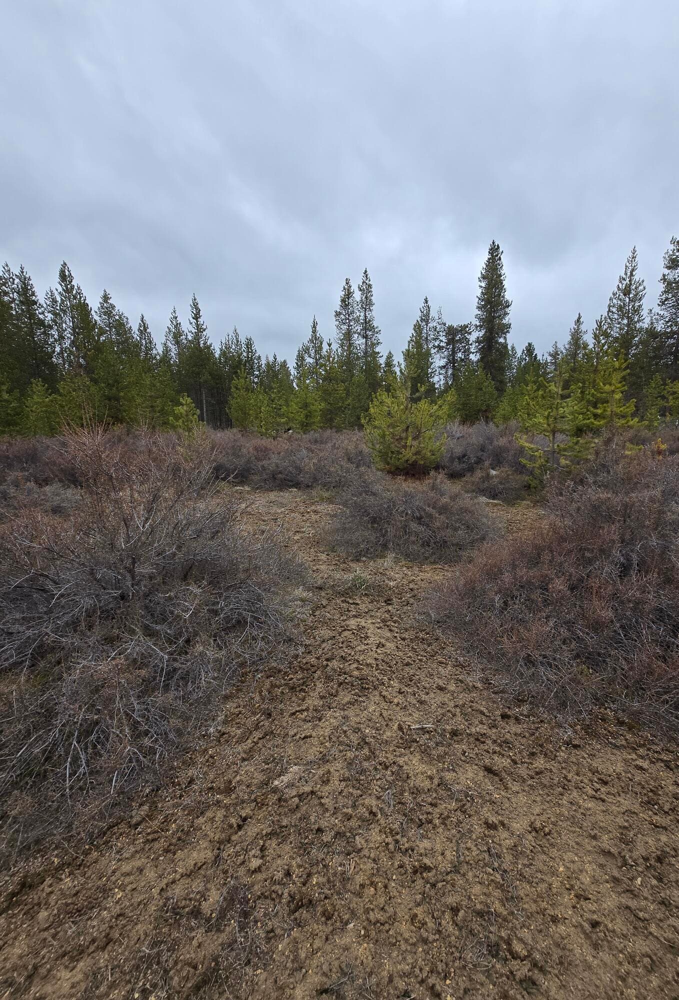20260312_113651. Photo 2 of 5, 16349 Sparks Drive, La Pine, OR 97739