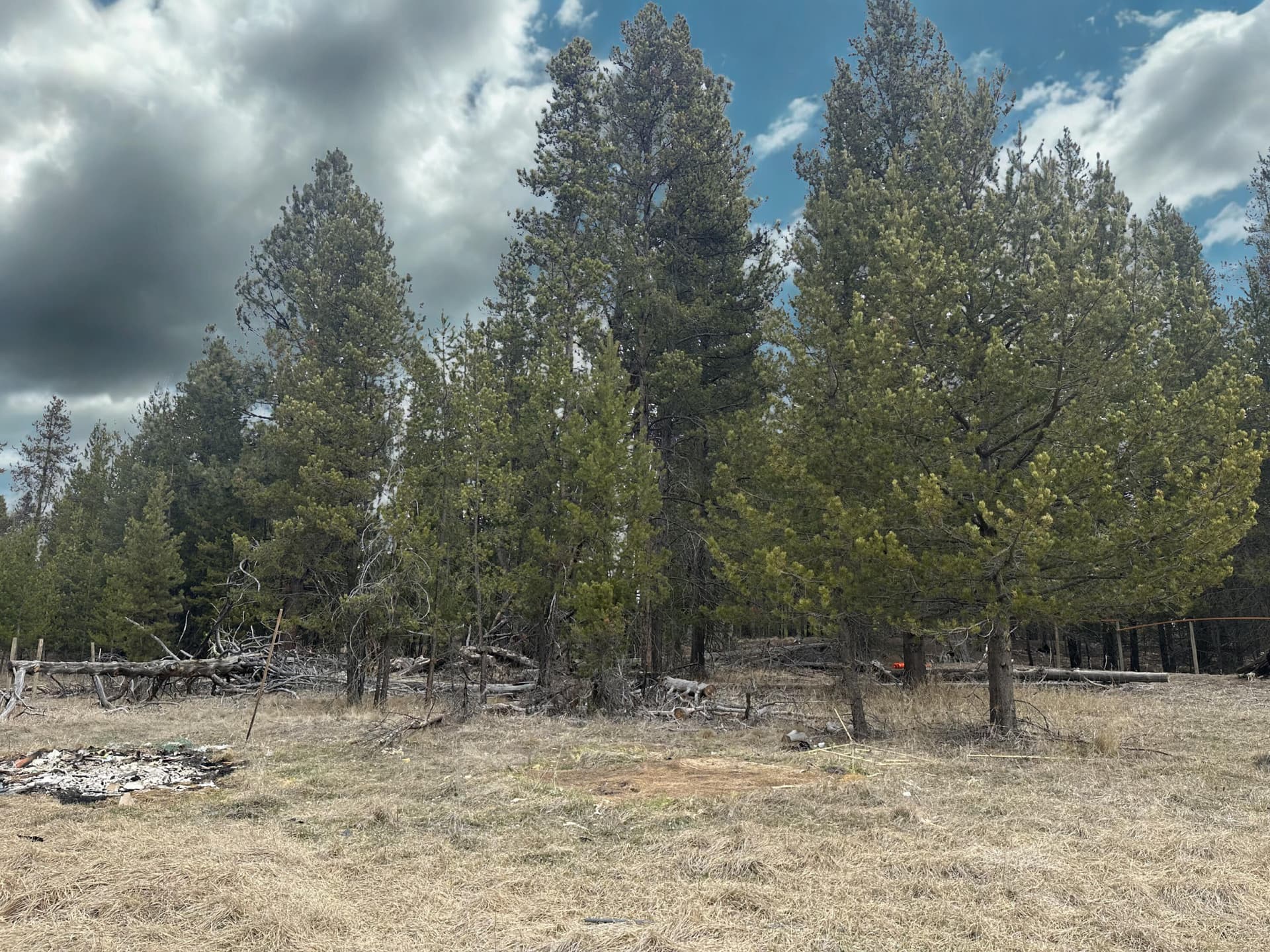 98ac236a-89ec-4671-990f-3580ece123fa. Photo 4 of 9, 15676 River Drive, La Pine, OR 97739