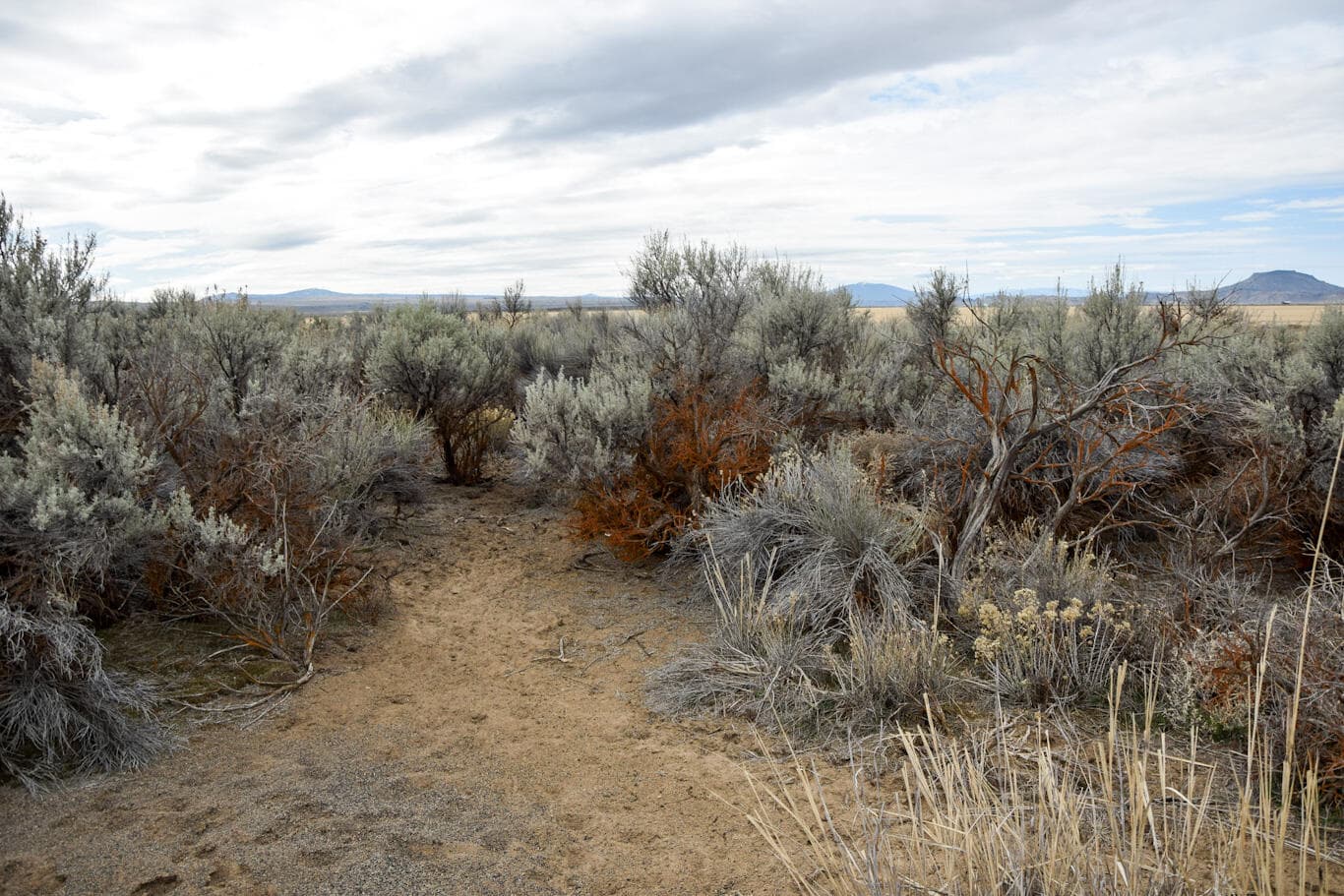 Lot. Photo 1 of 4, Willa Road Unit 3, Christmas Valley, OR 97641