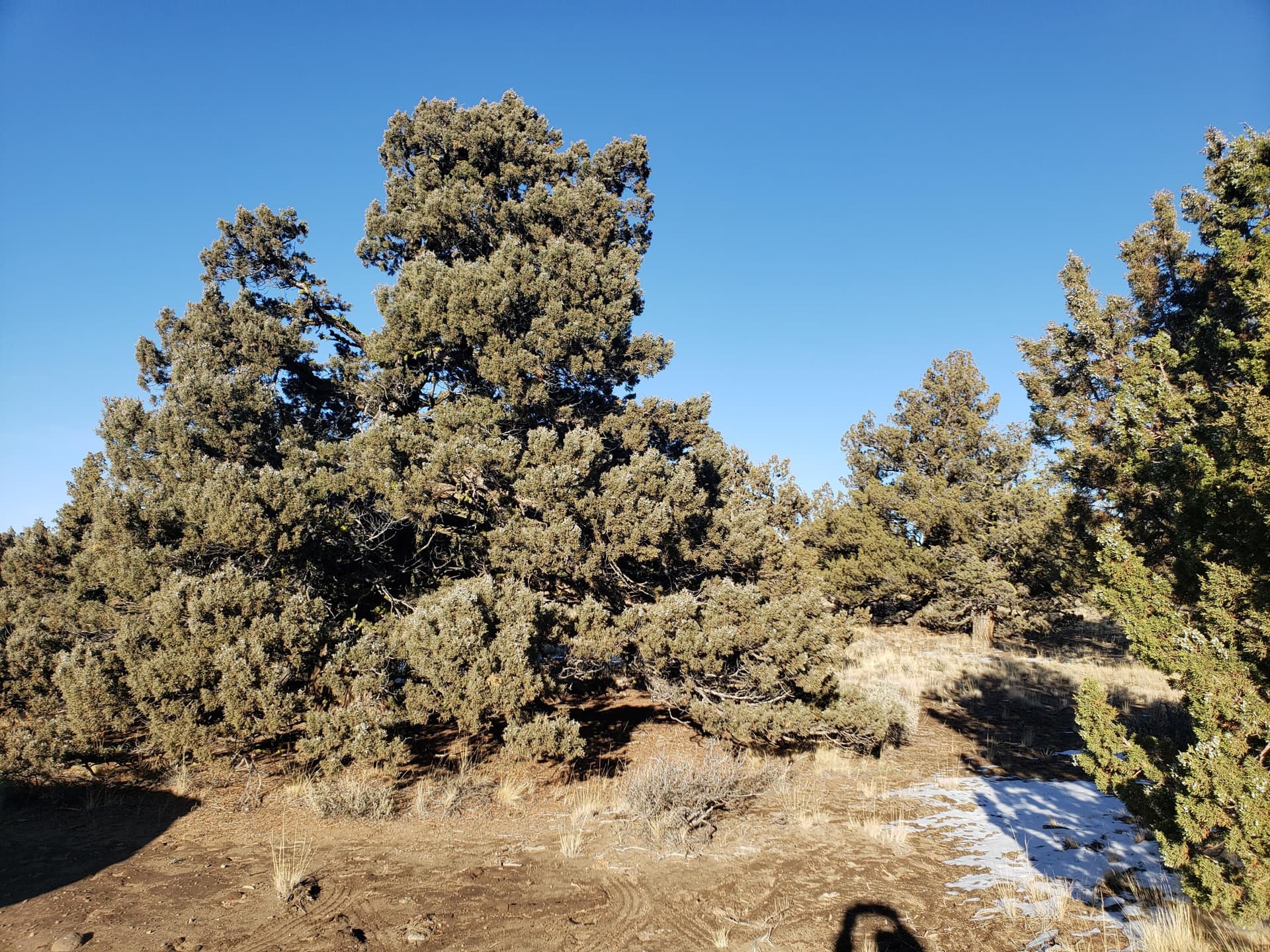 1. Photo 2 of 13, 1400 Golden View Ranch, Bend, OR 97701
