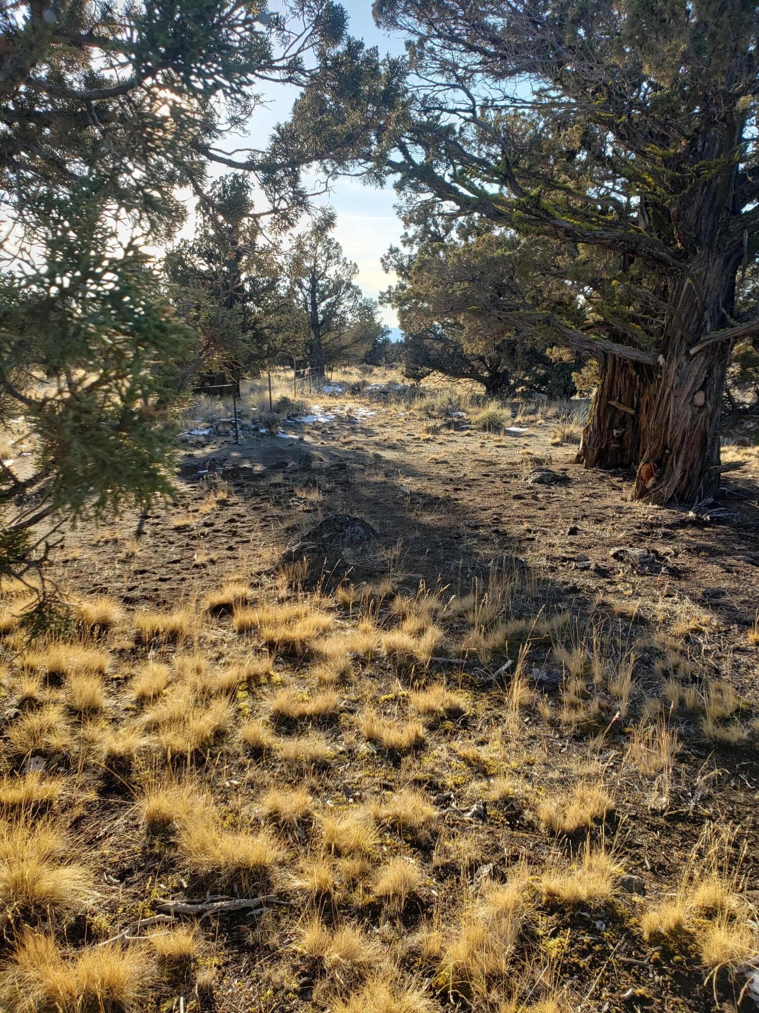 20201121_144242. Photo 3 of 13, 1400 Golden View Ranch, Bend, OR 97701