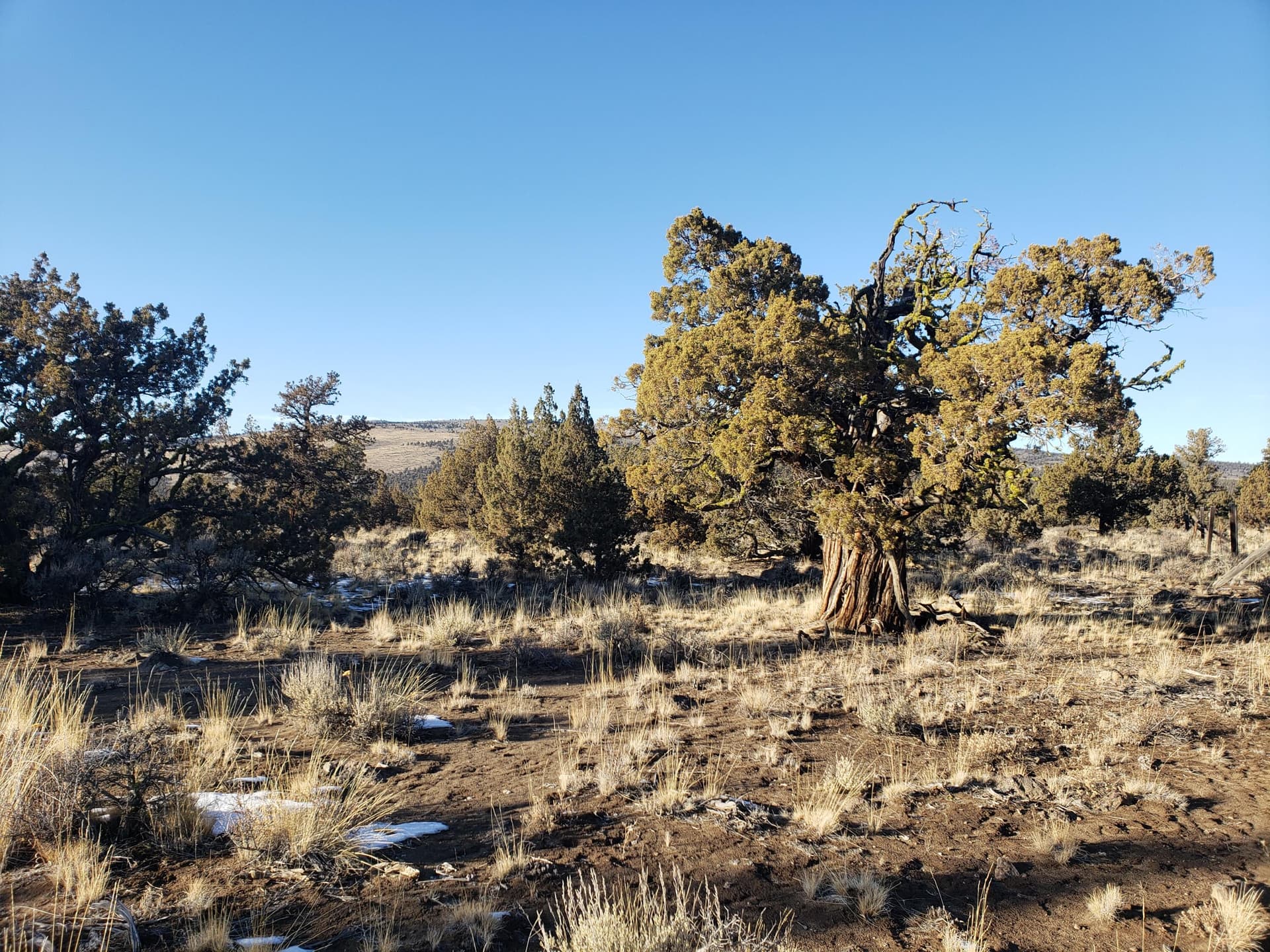 20201121_144424. Photo 1 of 13, 1400 Golden View Ranch, Bend, OR 97701