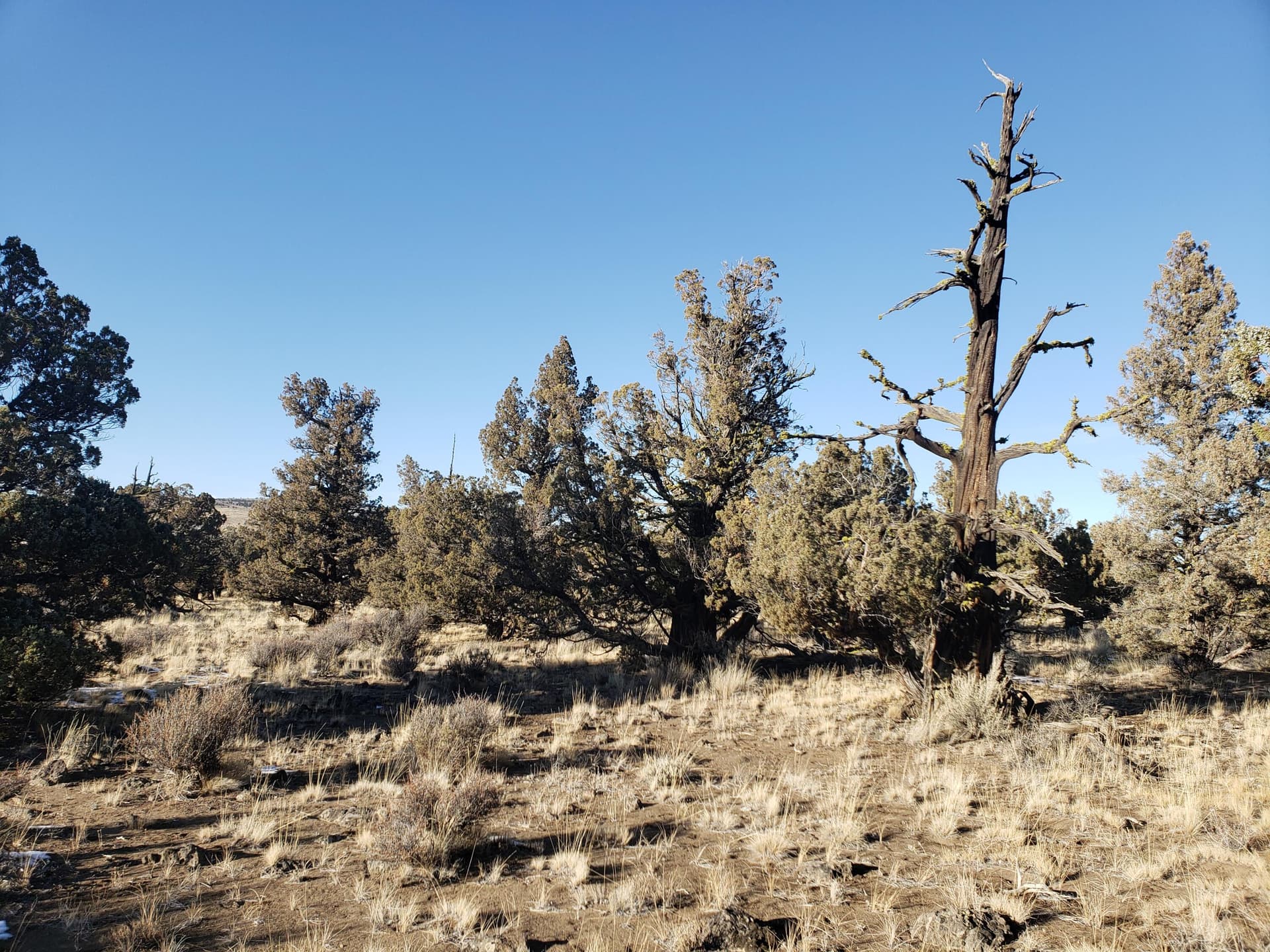 20201121_144652. Photo 4 of 13, 1400 Golden View Ranch, Bend, OR 97701