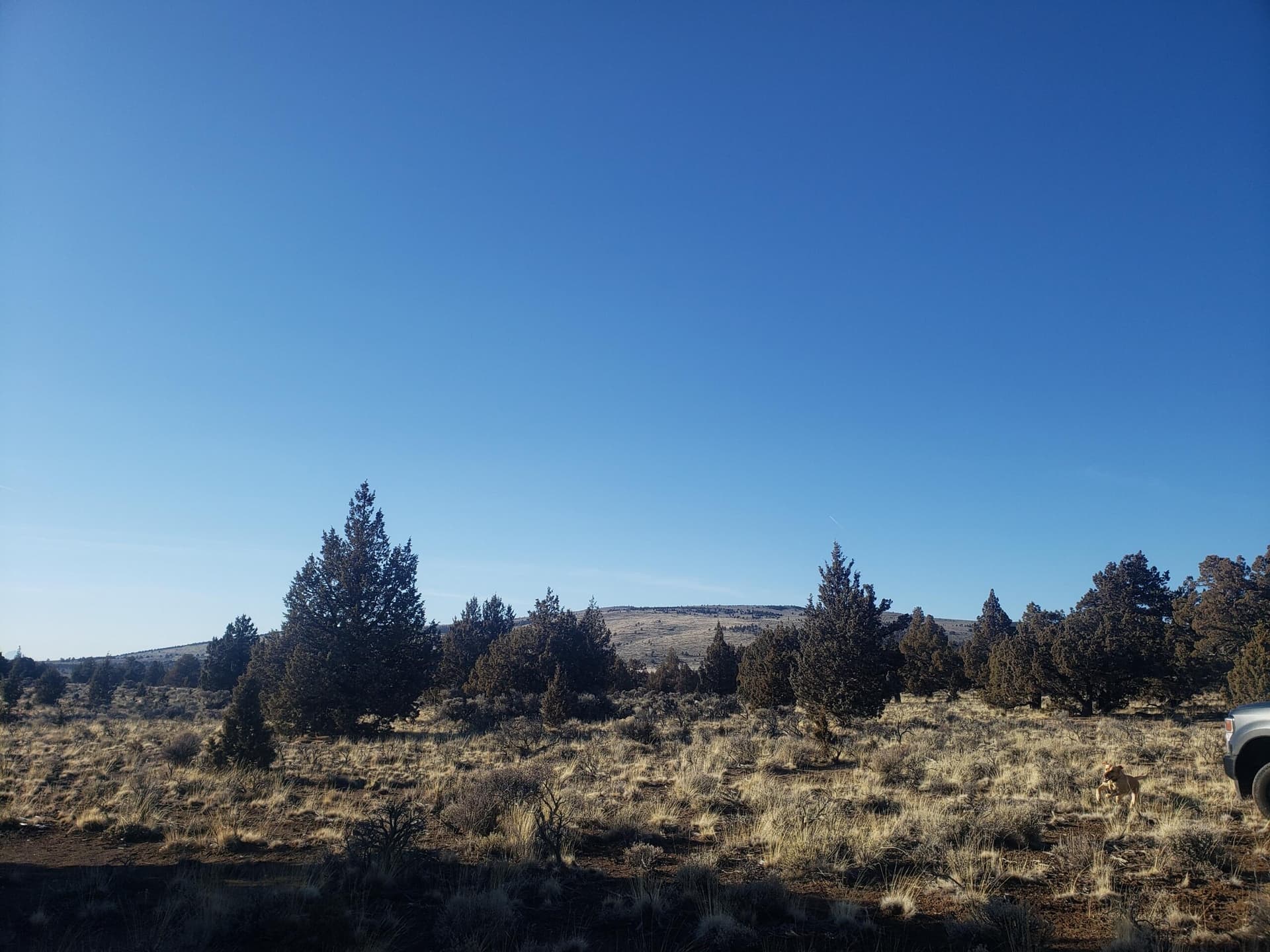 view of west butte. Photo 5 of 13, 1400 Golden View Ranch, Bend, OR 97701