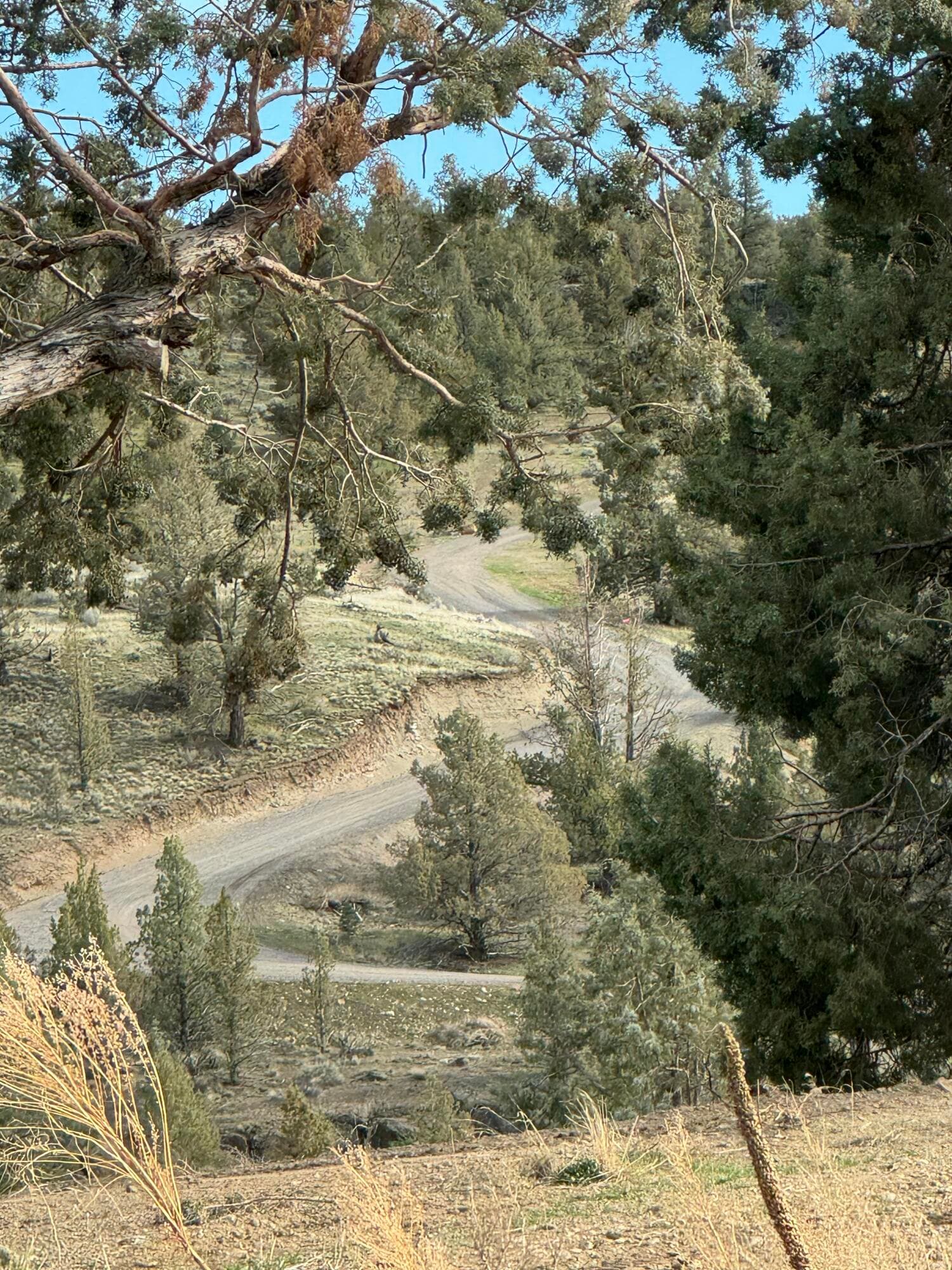 Lot access 456. Photo 5 of 18, 69800 NW Lower Valley Drive, Terrebonne, OR 97760