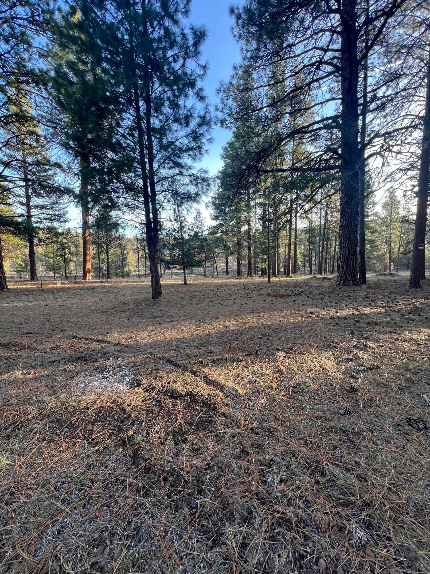 IMG_2424. Photo 1 of 6, Overland Drive Unit 4 & 5, Klamath Falls, OR 97603