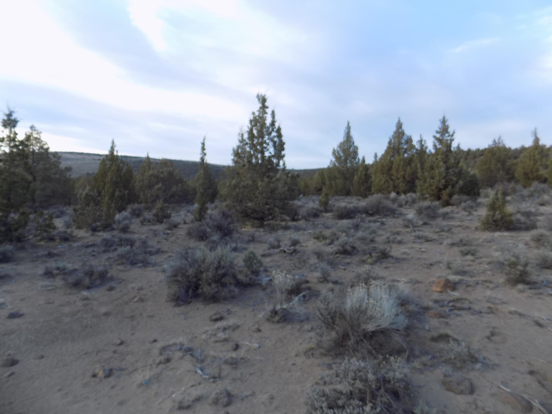 DSCN6151. Photo 2 of 4, 1100 GoldenView Ranch Unit 1100, Bend, OR 97701