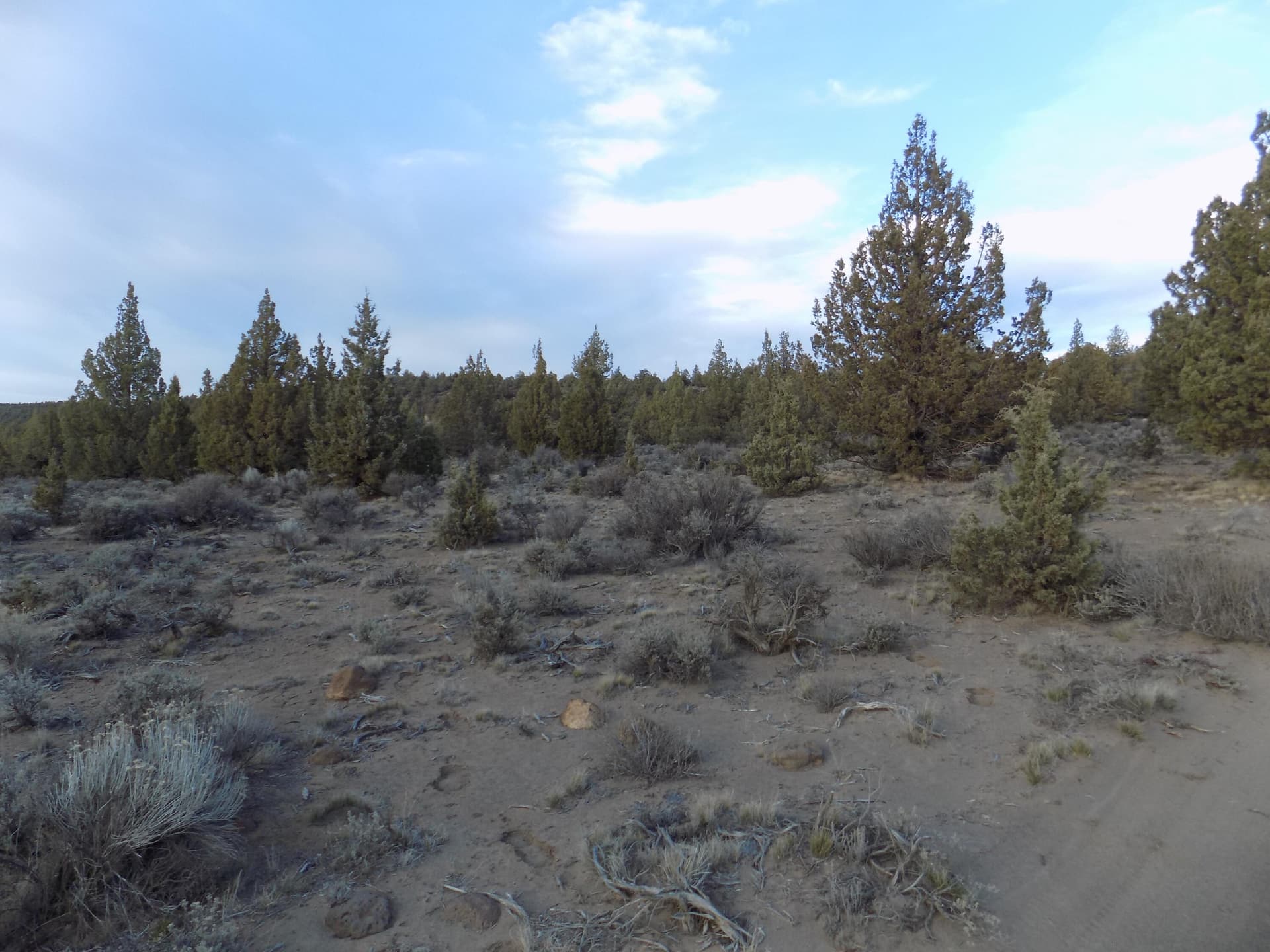 DSCN6152. Photo 3 of 4, 1100 GoldenView Ranch Unit 1100, Bend, OR 97701