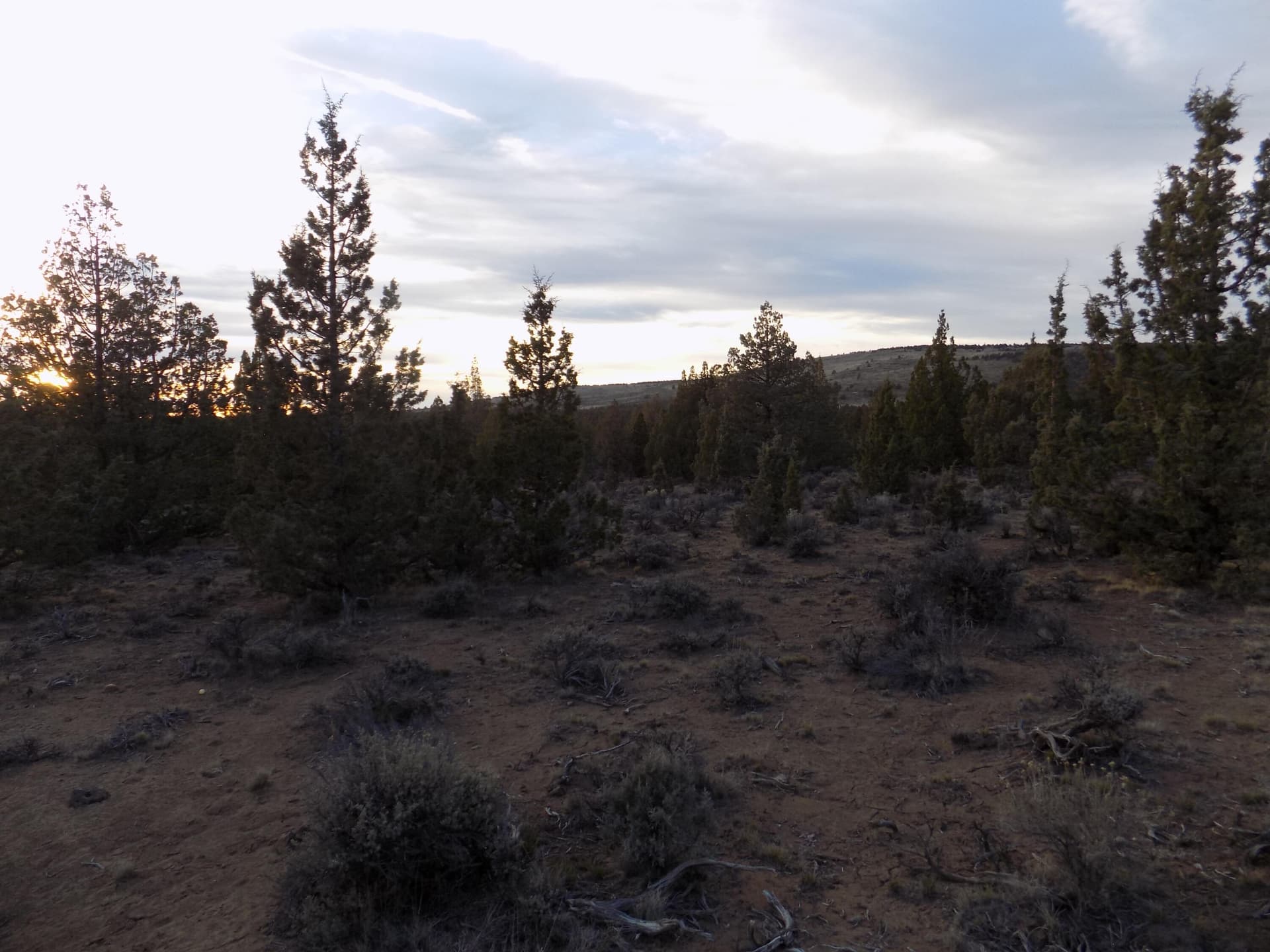 DSCN6153. Photo 4 of 4, 1100 GoldenView Ranch Unit 1100, Bend, OR 97701