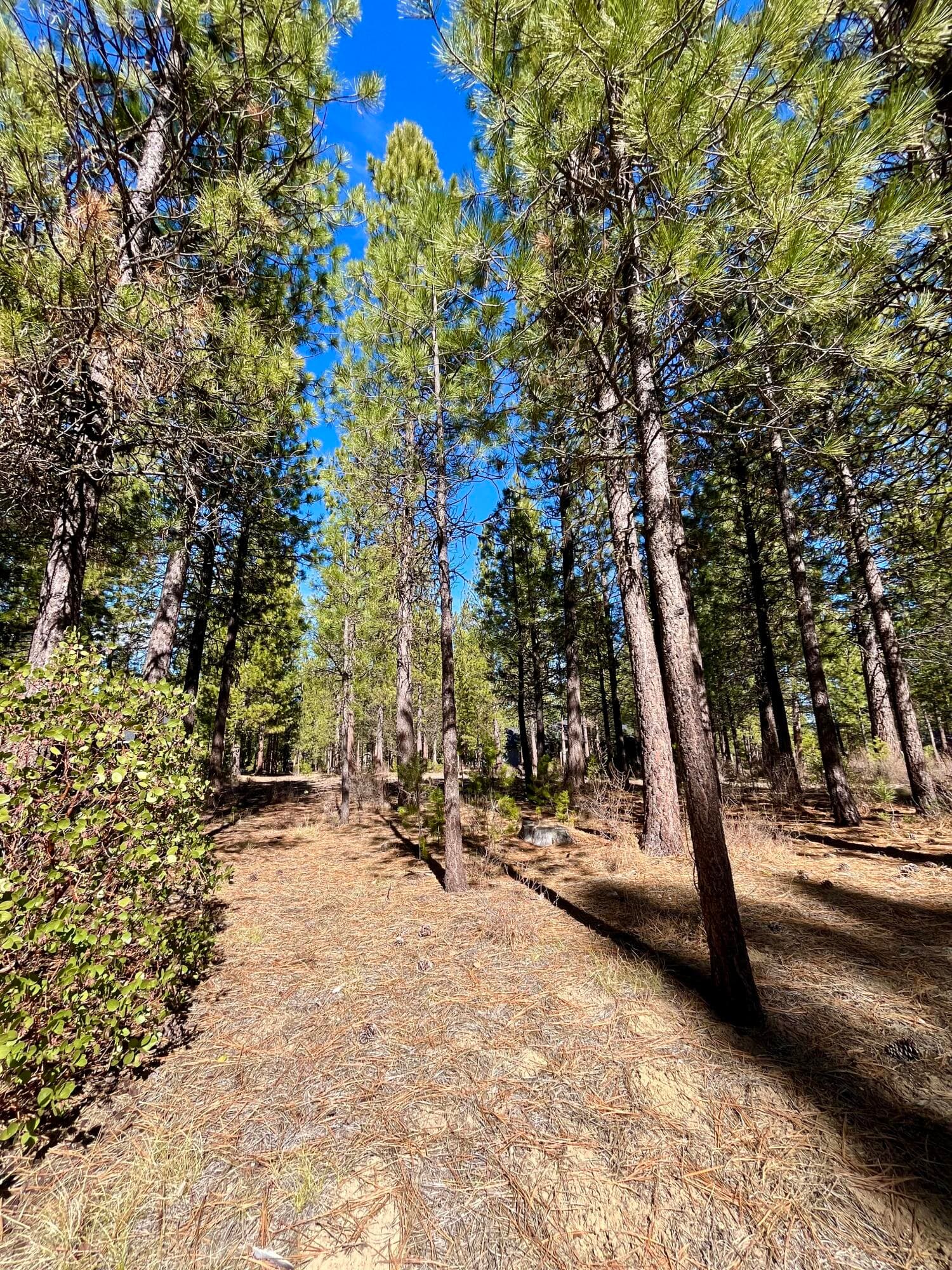 14171-2. Photo 4 of 16, 14171 Whitewater Loop, La Pine, OR 97739