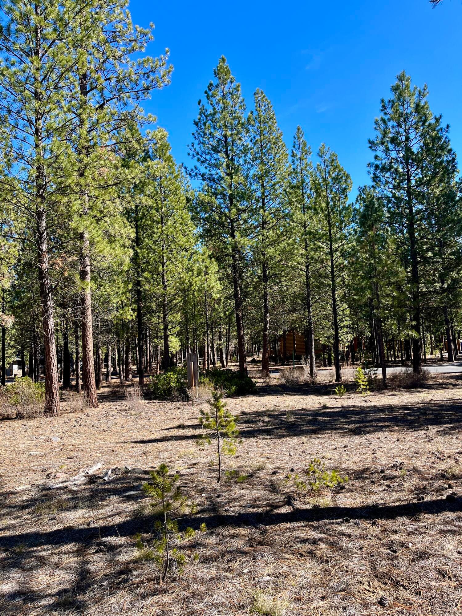 14171-3. Photo 5 of 16, 14171 Whitewater Loop, La Pine, OR 97739