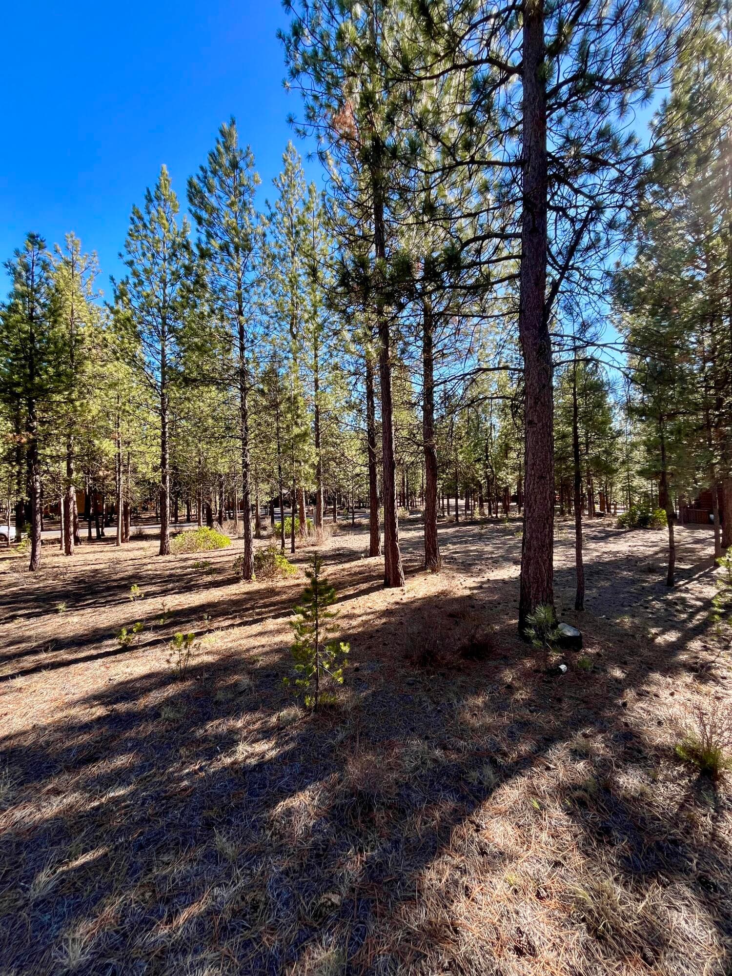 14171-6. Photo 3 of 16, 14171 Whitewater Loop, La Pine, OR 97739