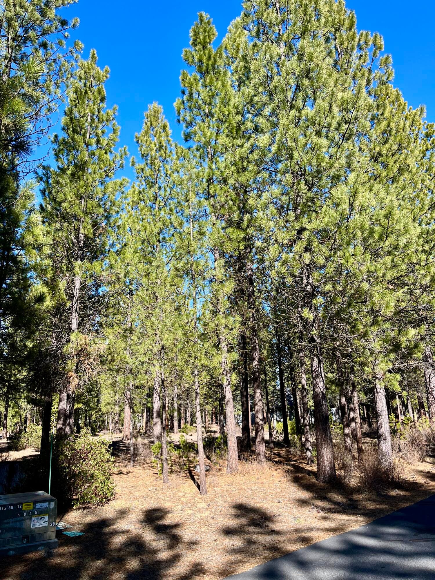 14171-8. Photo 2 of 16, 14171 Whitewater Loop, La Pine, OR 97739