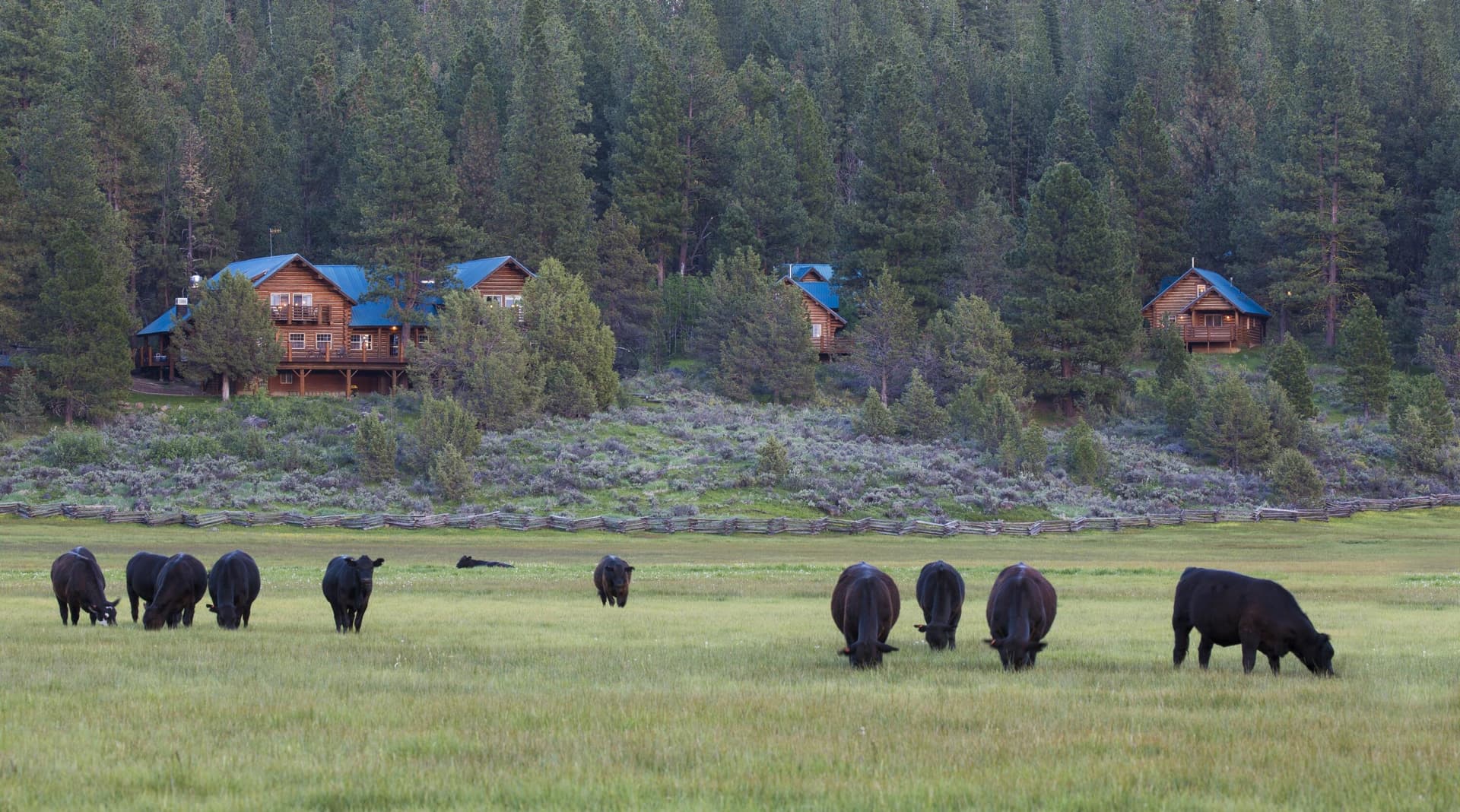 cattle herd pasture. Photo 1 of 38, 0 Fishhole Creek Road, Bly, OR 97622