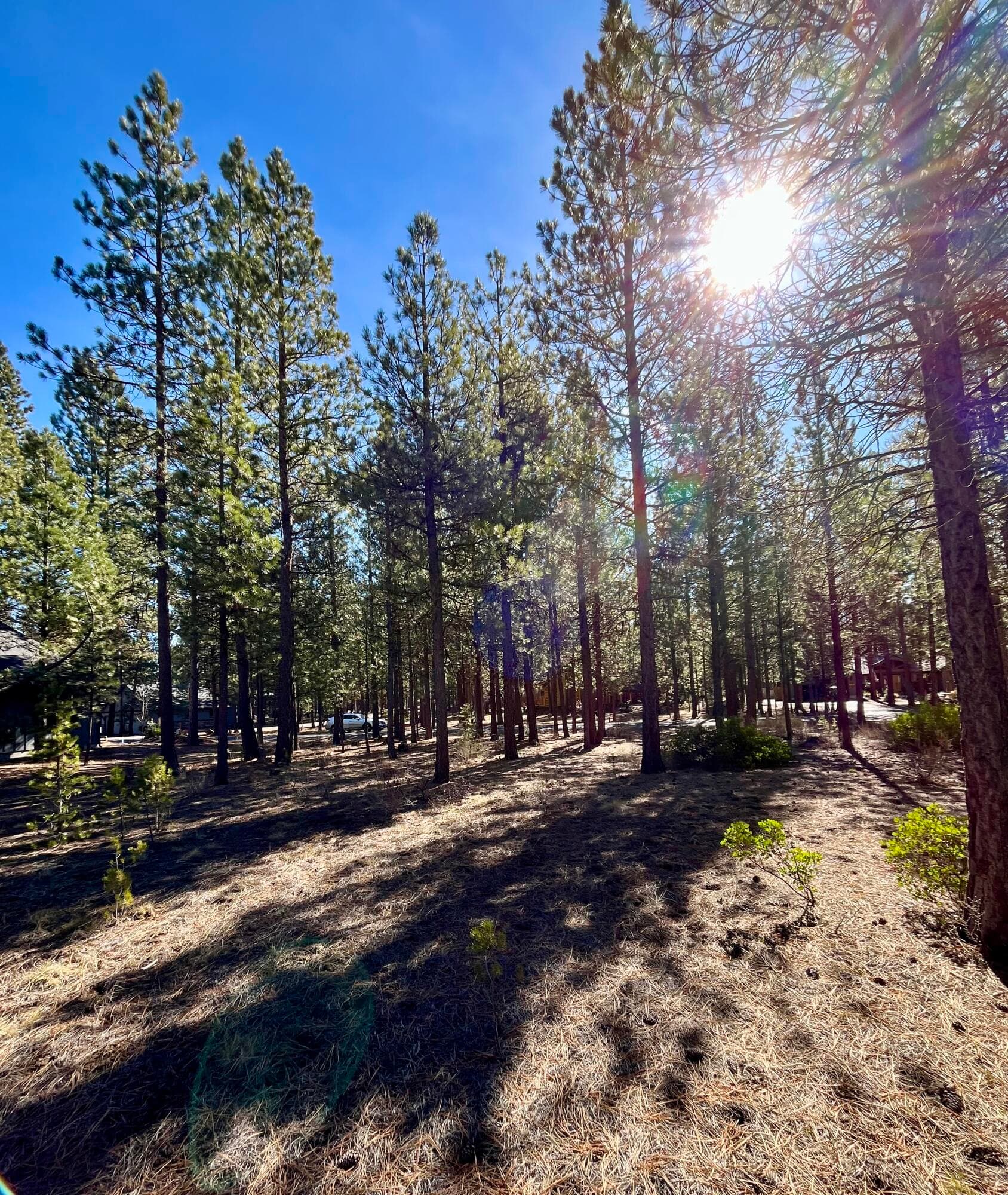 14165-2. Photo 3 of 16, 14165 Whitewater Loop, La Pine, OR 97739
