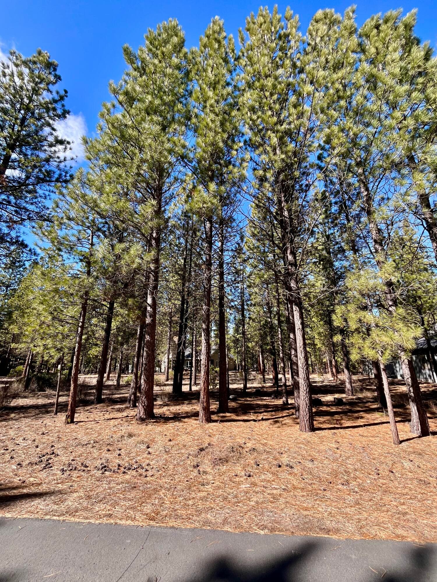 14165-4. Photo 4 of 16, 14165 Whitewater Loop, La Pine, OR 97739