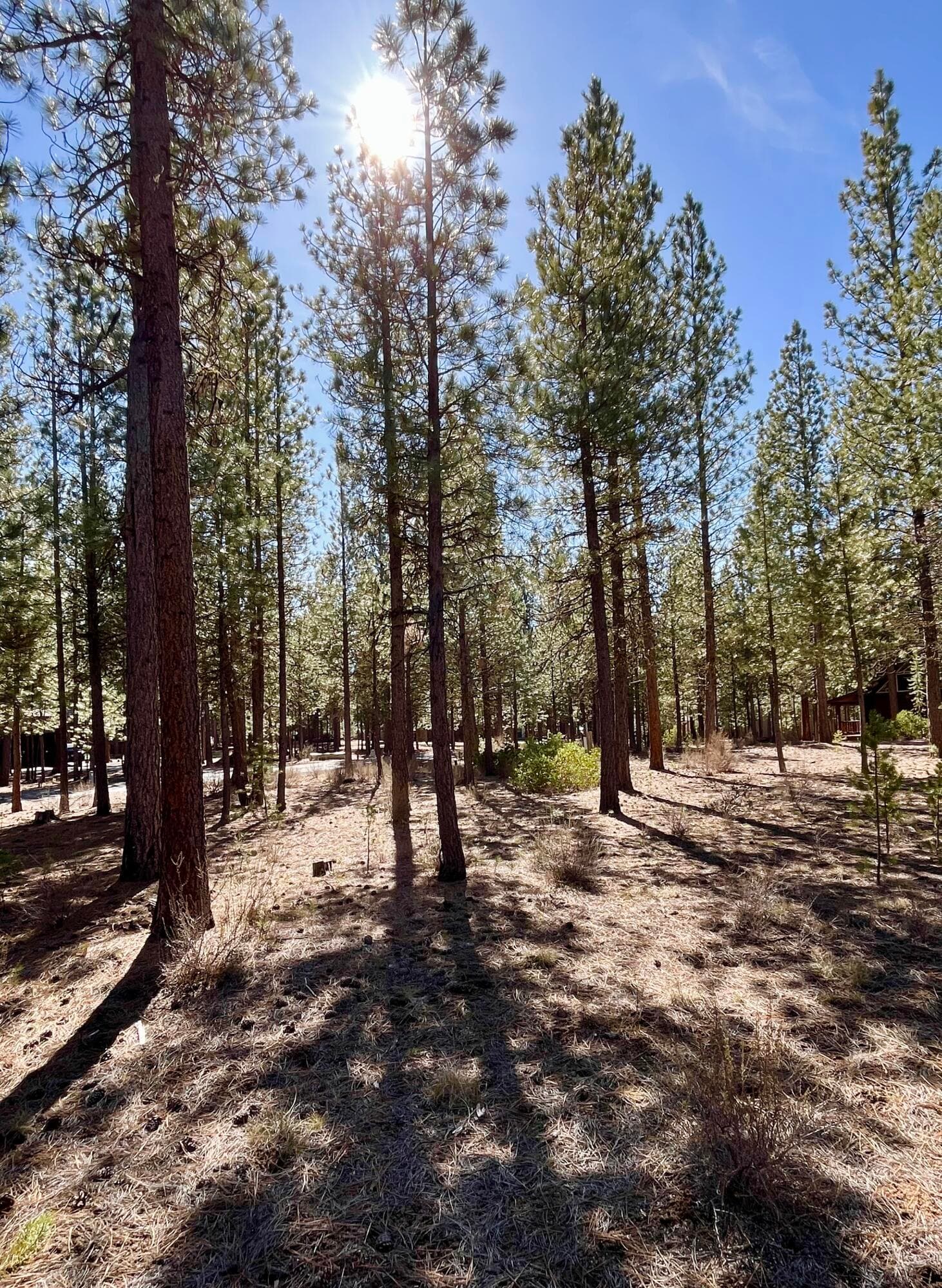 14165-6. Photo 5 of 16, 14165 Whitewater Loop, La Pine, OR 97739