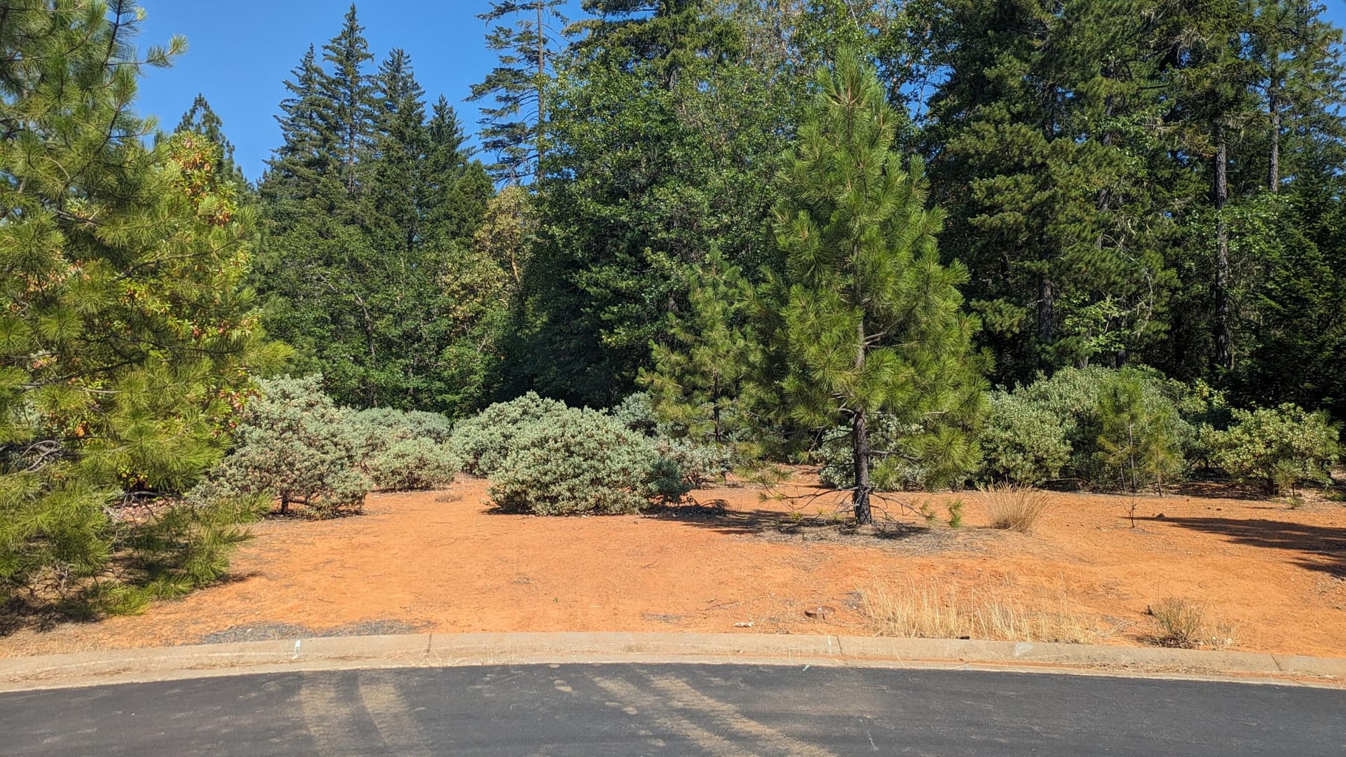 PXL_20240712_172035228. Photo 1 of 1, 364 Cedar Ridge Drive, Cave Junction, OR 97523
