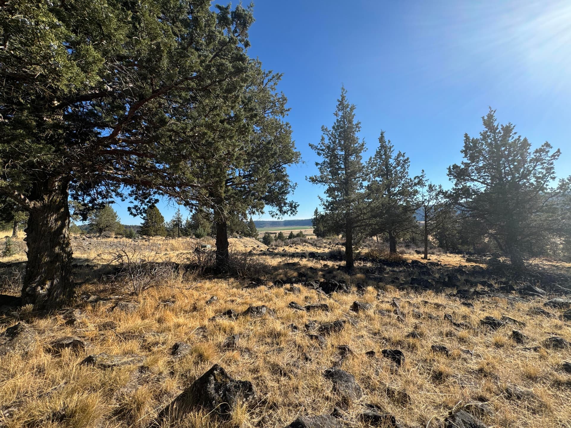 1. Photo 1 of 9, 0 Fox Sparrow Drive Unit 1127, Klamath Falls, OR 97601