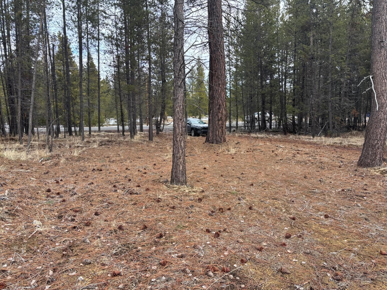 IMG-20250305-WA0012[1]. Photo 3 of 6, 17115 Spring River Road, Bend, OR 97707