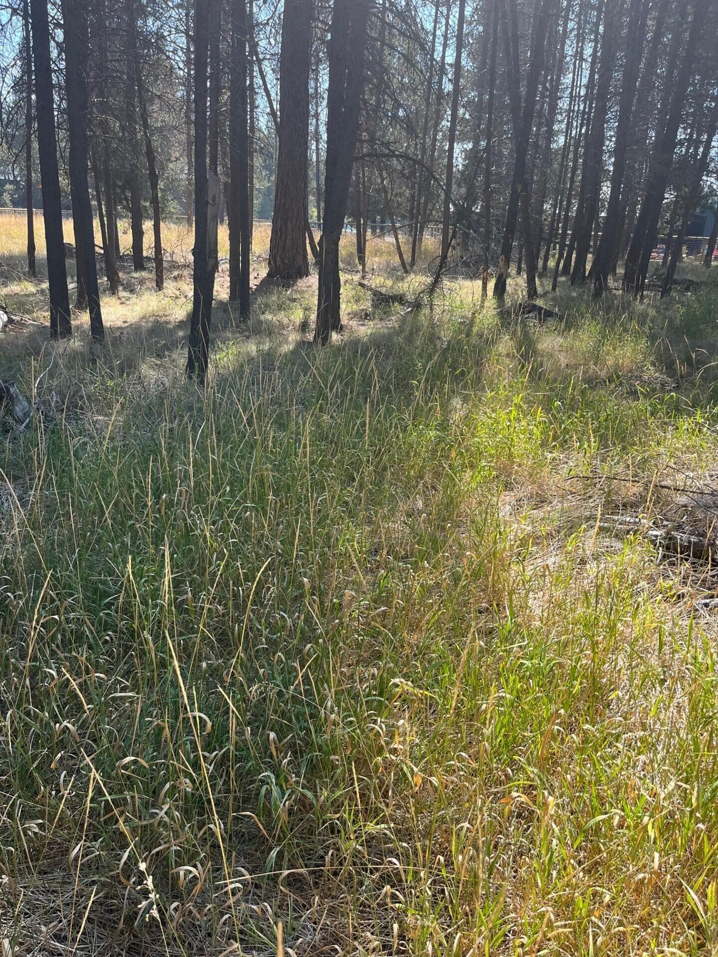 thumbnail_IMG_1117. Photo 2 of 6, 17123 Spring River Road Unit 14, Bend, OR 97707