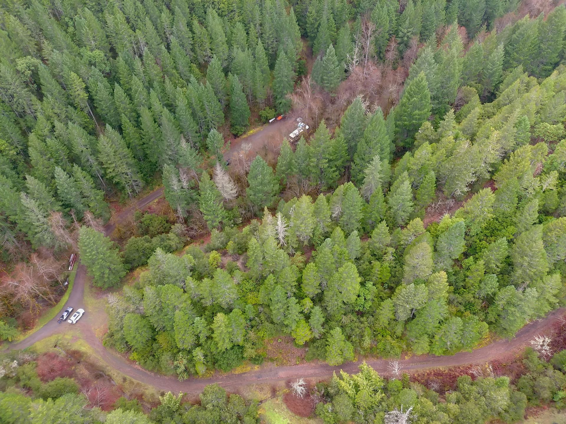 MAX_0017. Photo 1 of 14, 1834 Waters Creek Road, Wilderville, OR 97543
