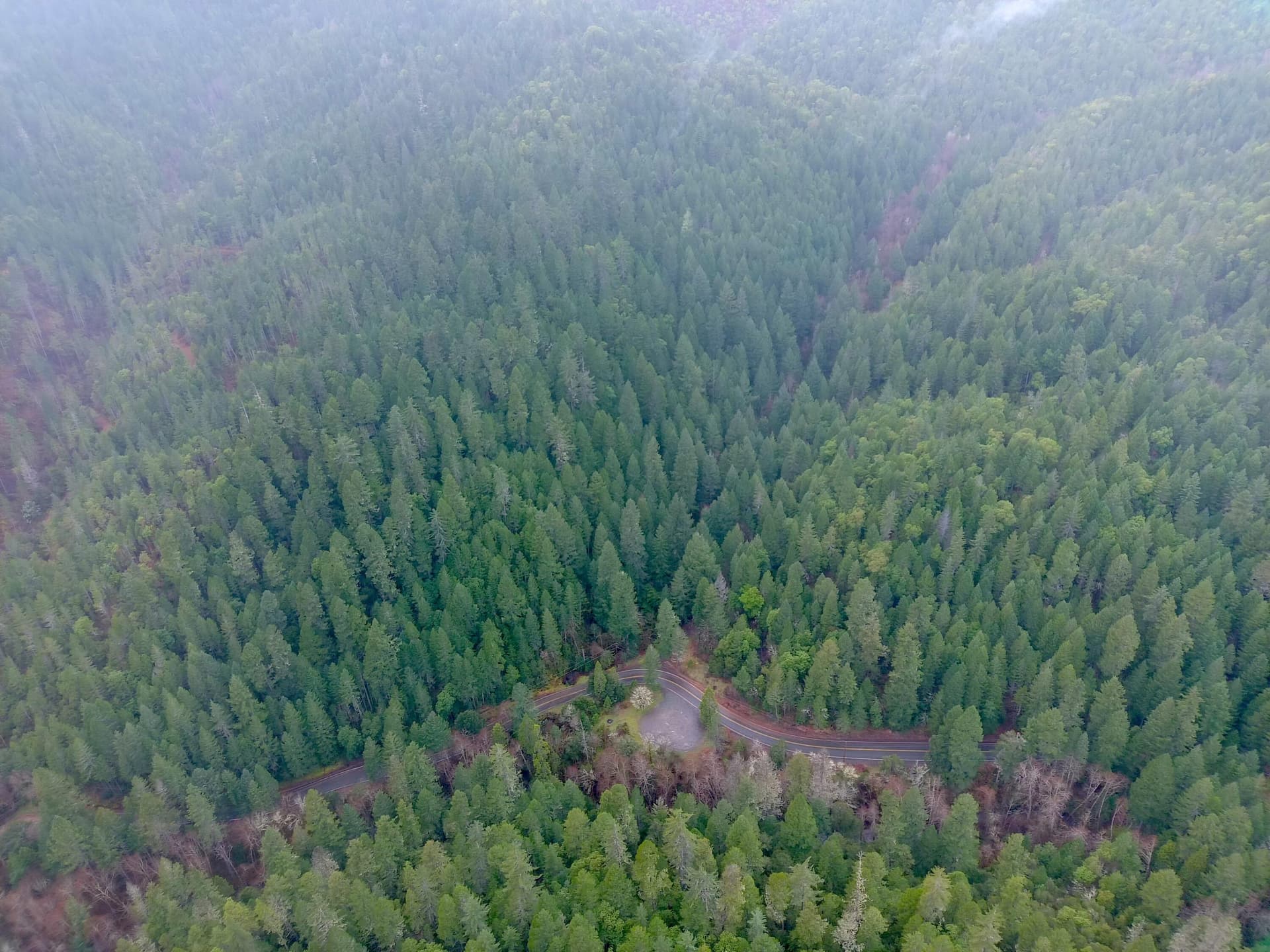 MAX_0020. Photo 4 of 14, 1834 Waters Creek Road, Wilderville, OR 97543
