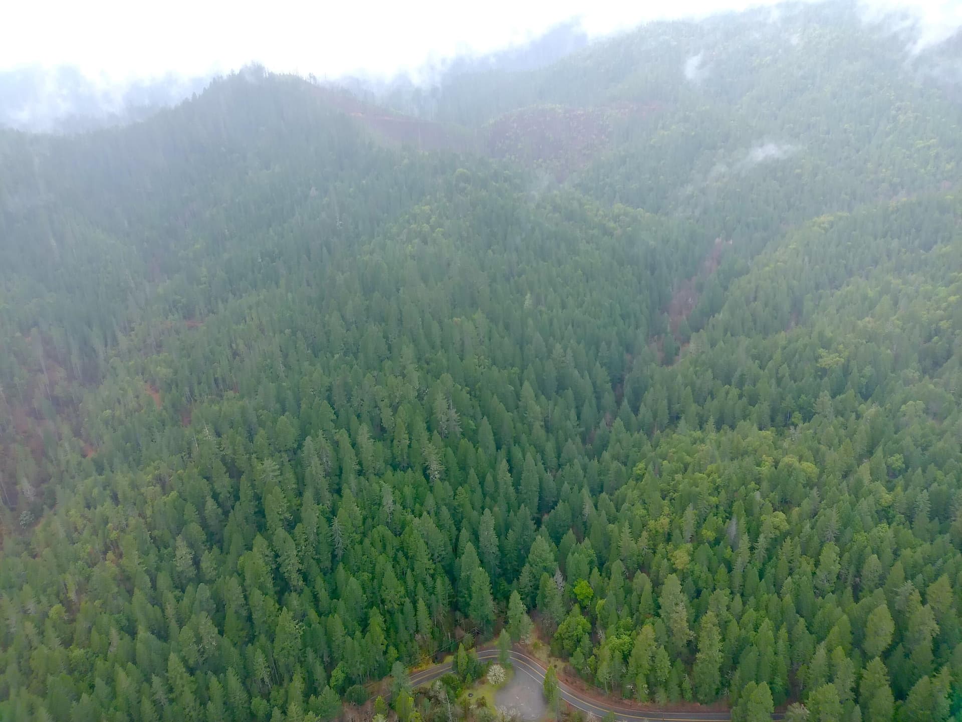 MAX_0021. Photo 5 of 14, 1834 Waters Creek Road, Wilderville, OR 97543