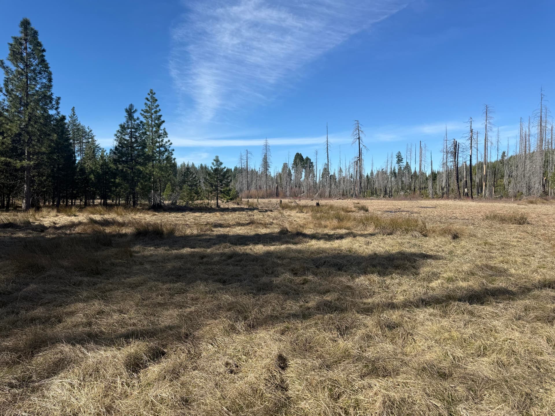 IMG_3151. Photo 2 of 35, 0 Swede Basin Road Unit R325987, Selma, OR 97538