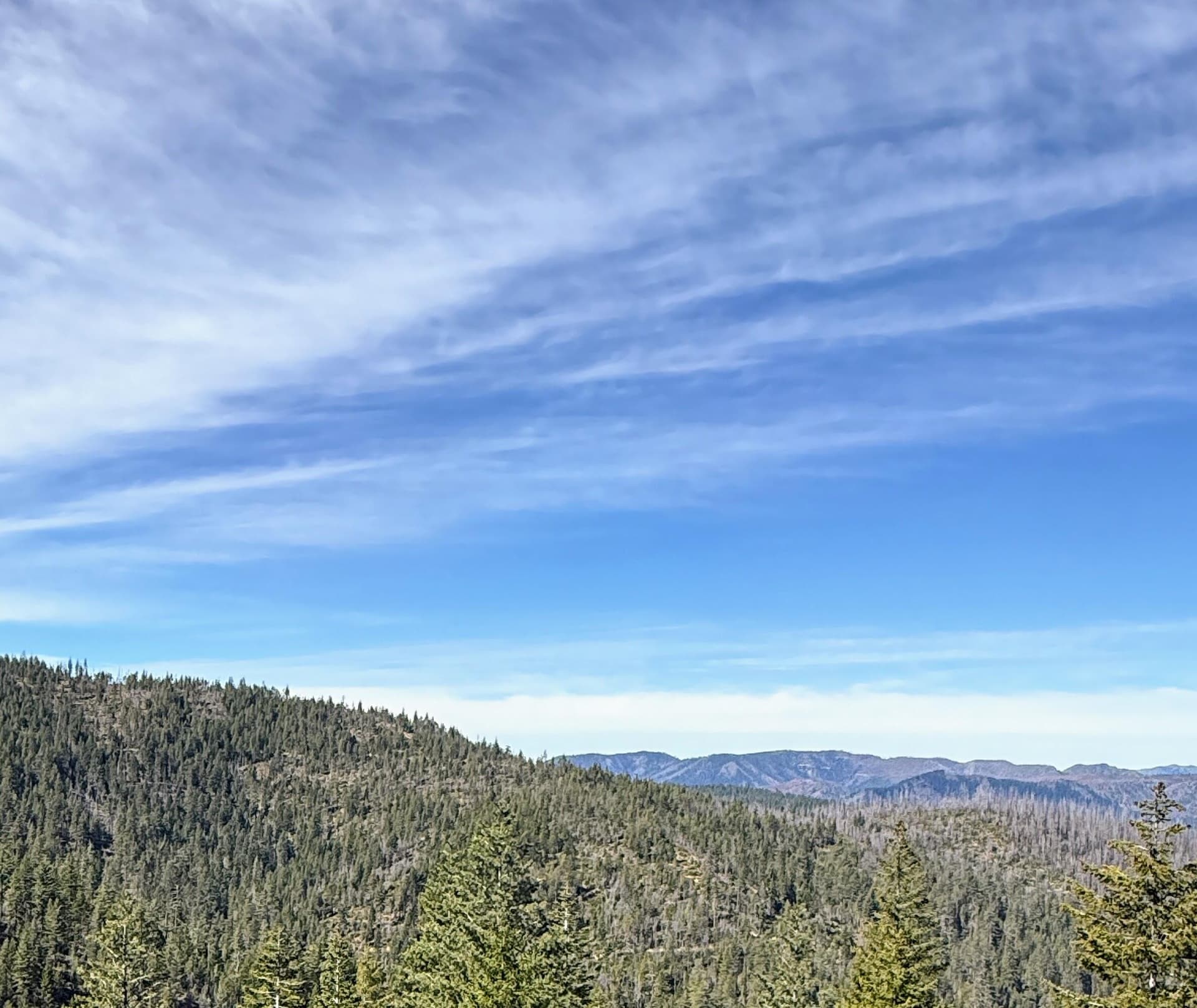 IMG_3173. Photo 1 of 13, 2 Onion Mountain, Selma, OR 97538