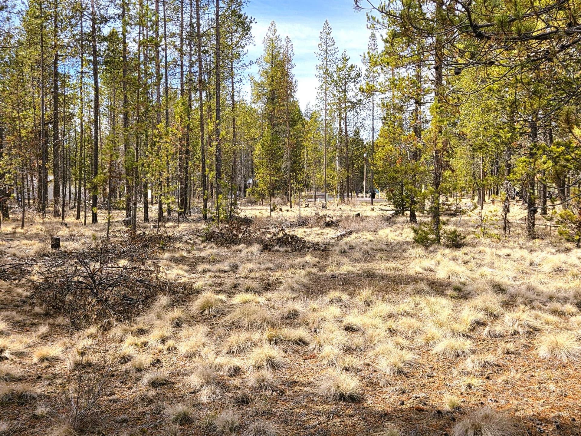 20260316_140036. Photo 2 of 13, 16555 Fawn Court, La Pine, OR 97739