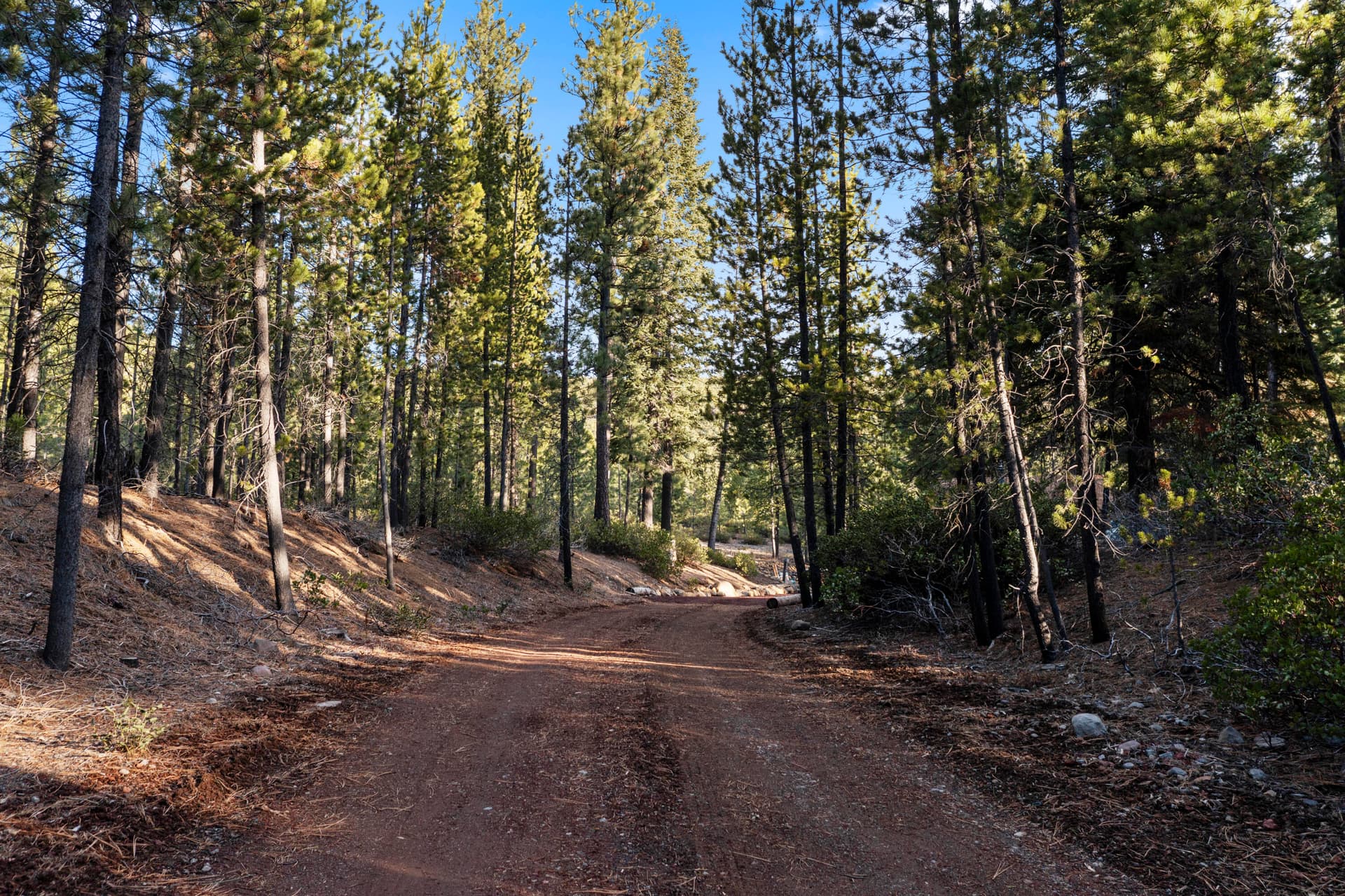02DJI_0330. Photo 3 of 40, 61567 Bearwallow Road, Bend, OR 97703