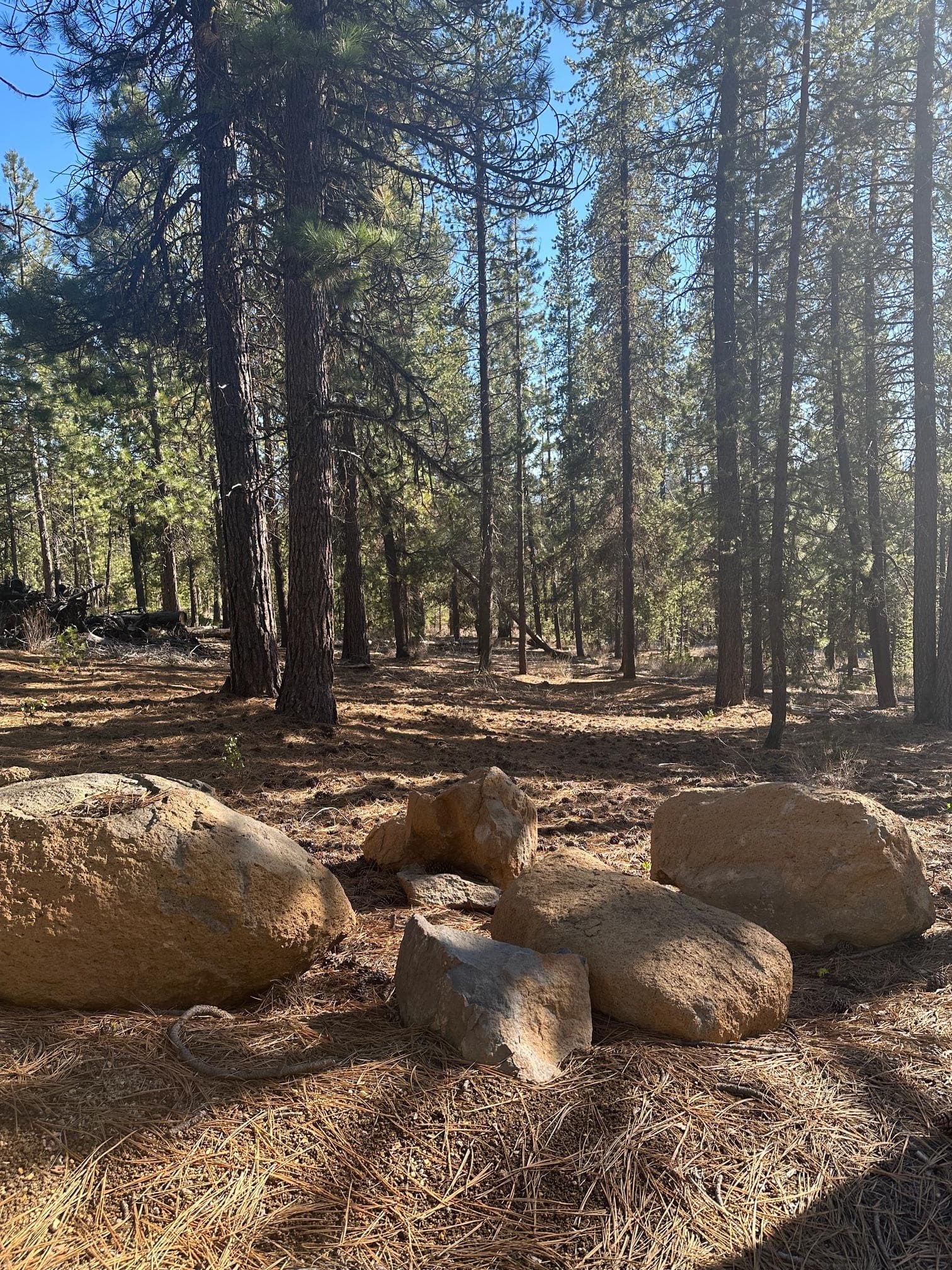 property. Photo 1 of 5, Hwy 58 Unit Lot #201, Crescent Lake, OR 97733
