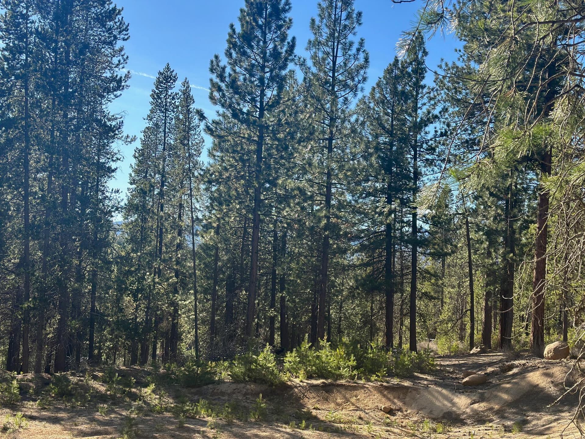 IMG_7802. Photo 2 of 5, Hwy 58 Unit Lot #201, Crescent Lake, OR 97733