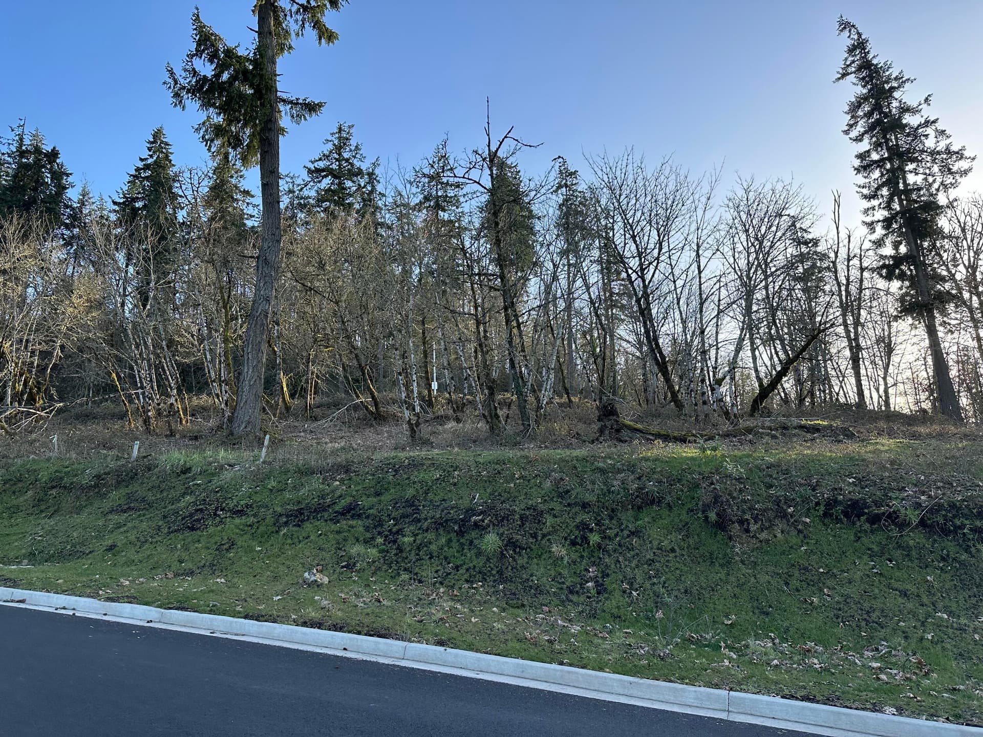 Lot Face. Photo 1 of 1, Cascara Drive Unit 96, Eugene, OR 97403