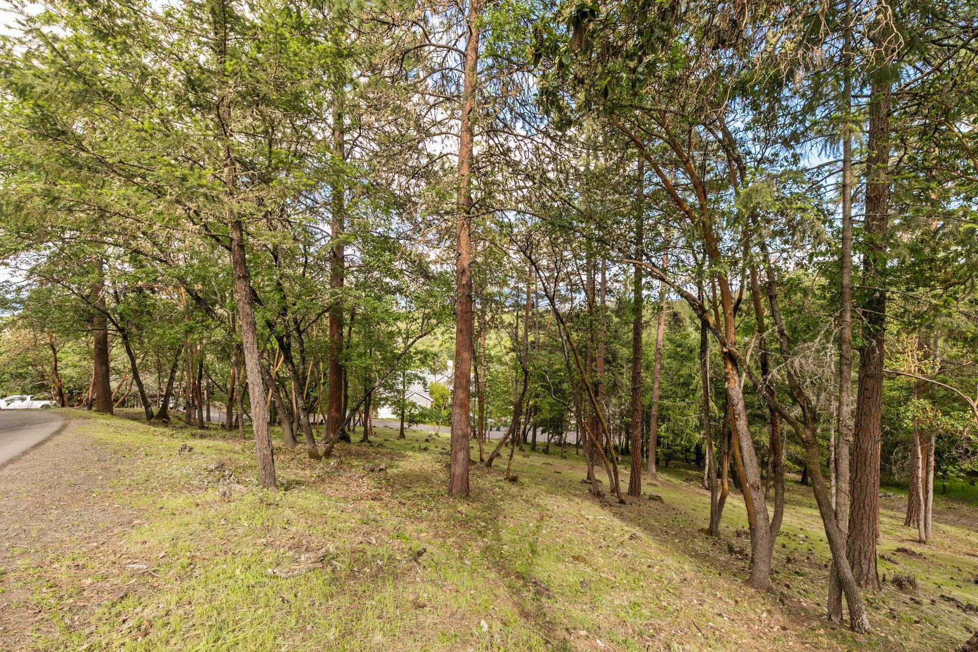 5. Photo 5 of 15, 425 Coachman Drive, Jacksonville, OR 97530
