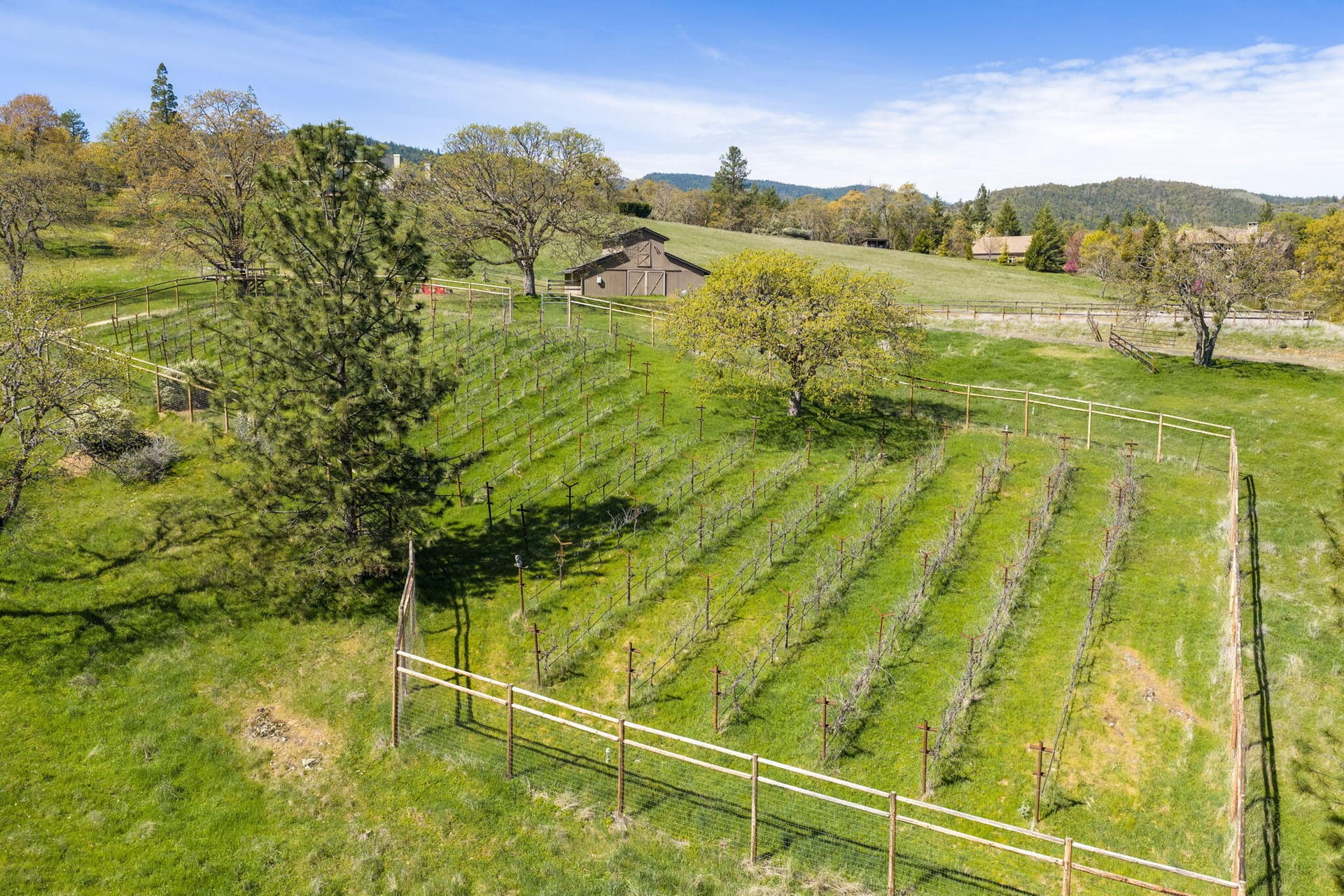 Apx84PH00004. Photo 3 of 28, 84 Placer Hill Drive, Jacksonville, OR 97530