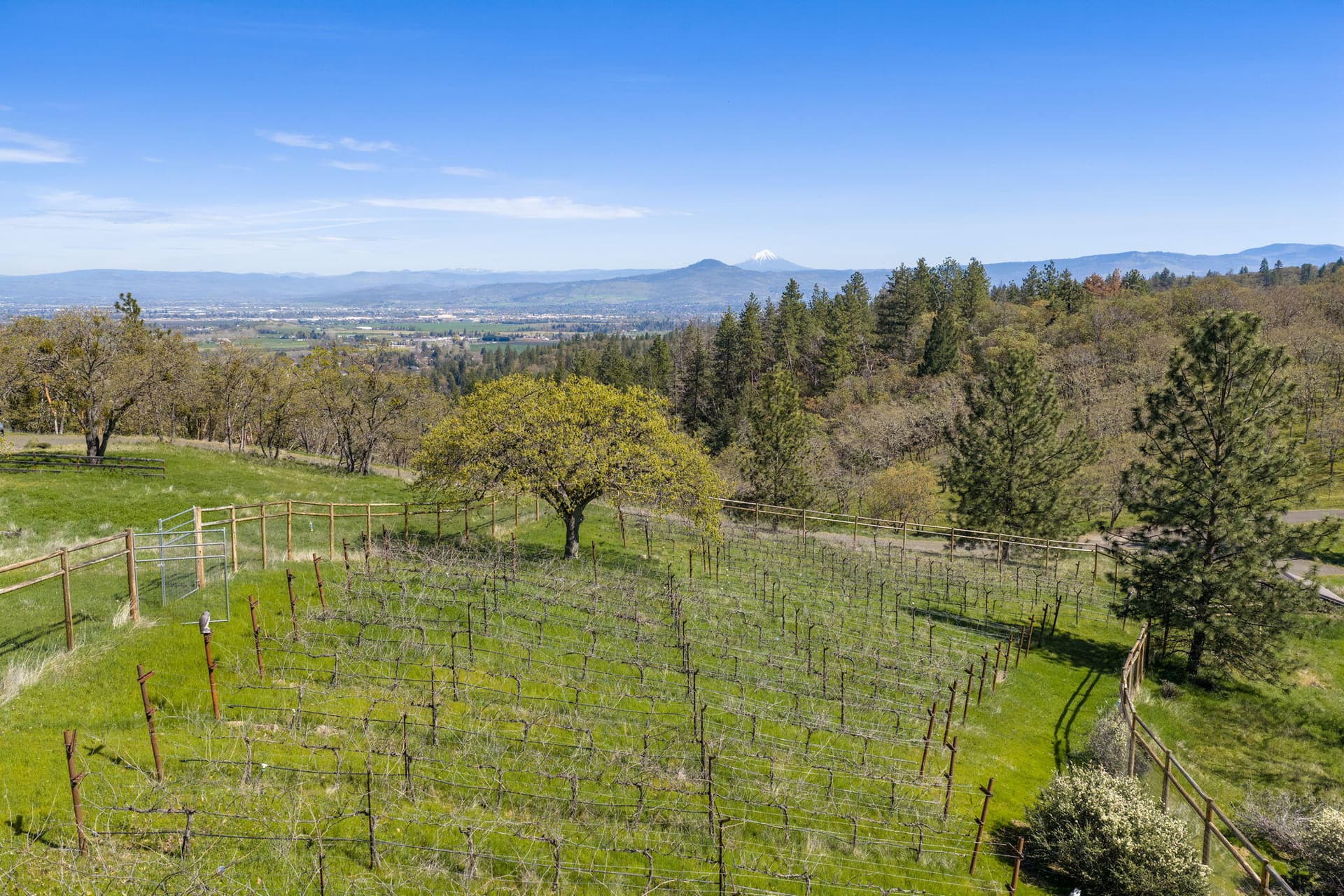 Apx84PH00012. Photo 1 of 28, 84 Placer Hill Drive, Jacksonville, OR 97530
