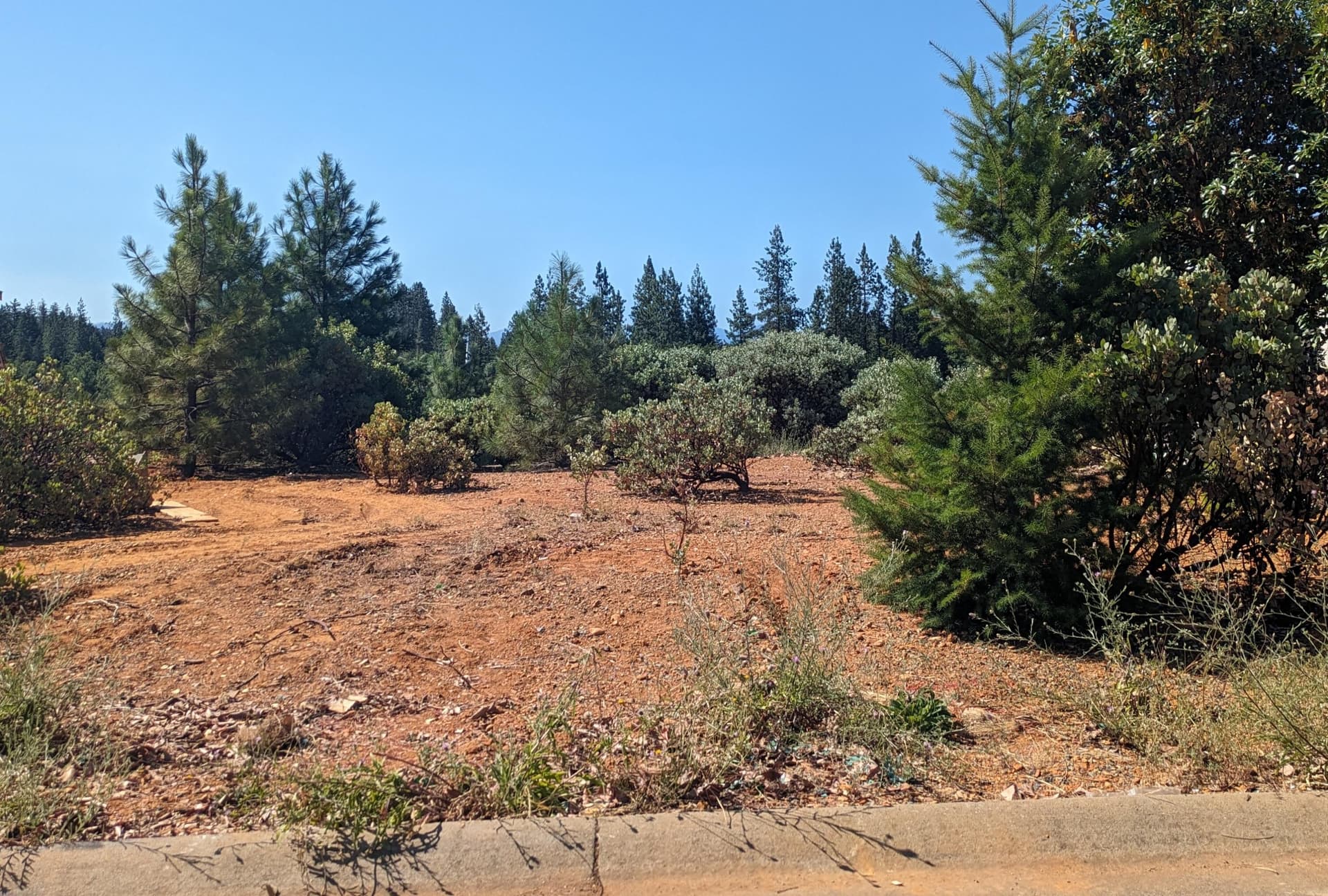 Lot. Photo 1 of 1, 344 Cedar Ridge Drive, Cave Junction, OR 97523