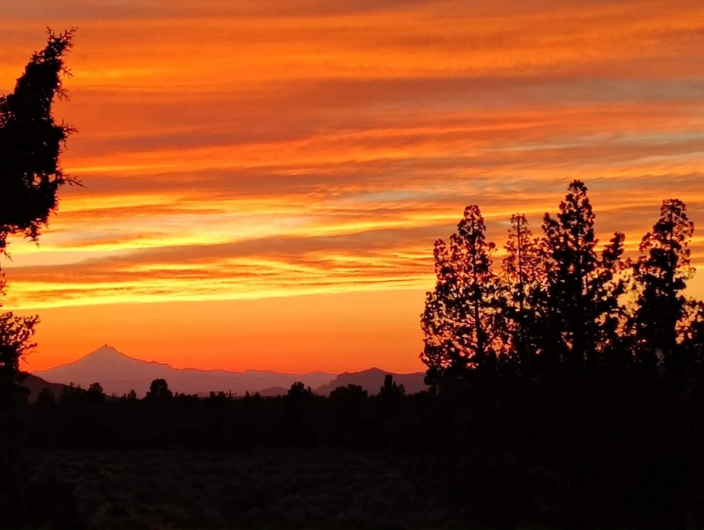 Resized_Messenger_creation_E5B52F24-3D94. Photo 5 of 49, 3913 SE Umatilla Loop, Prineville, OR 97754