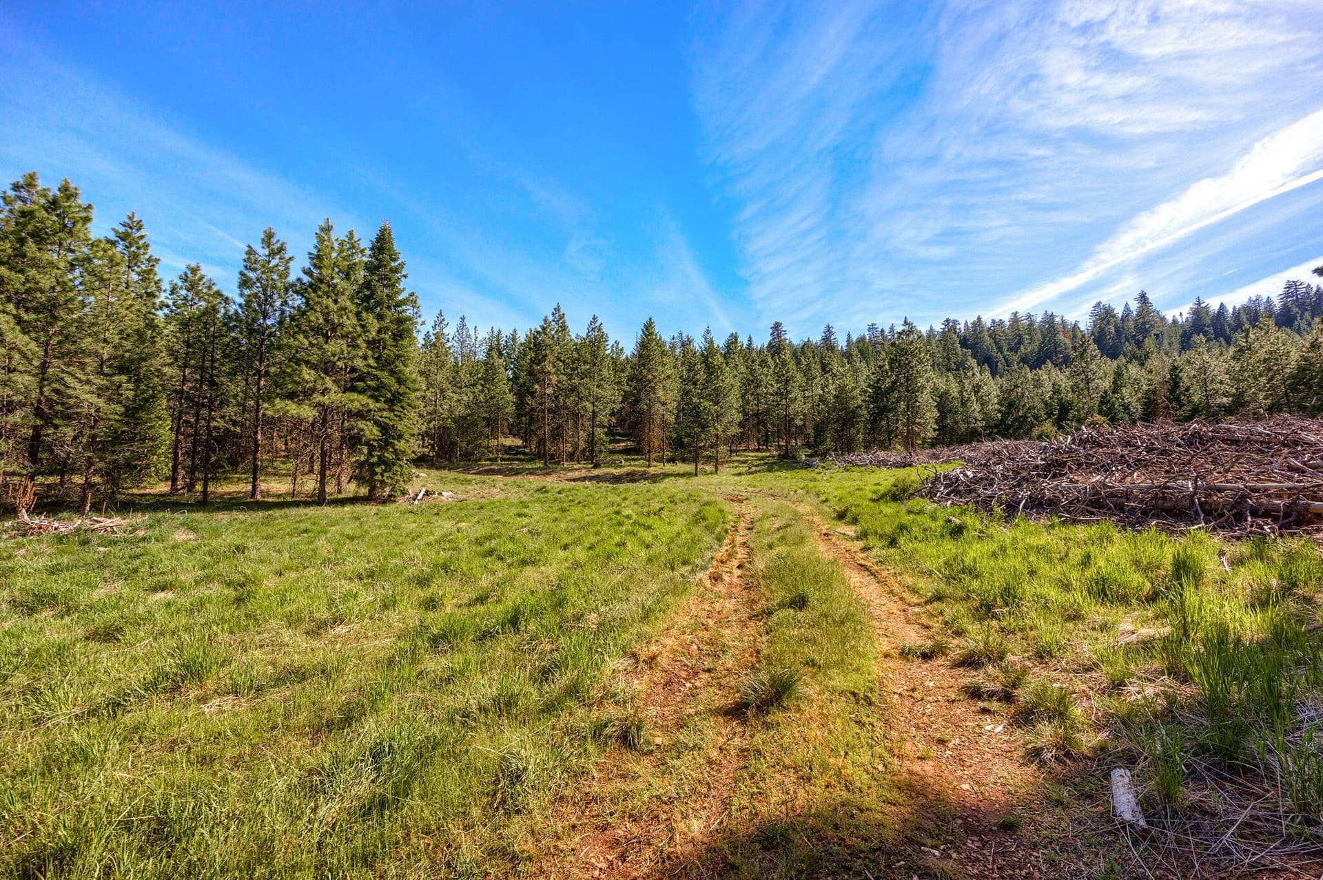 ApxJCR (2). Photo 2 of 14, 0 Jenny Cr Road, Ashland, OR 97520