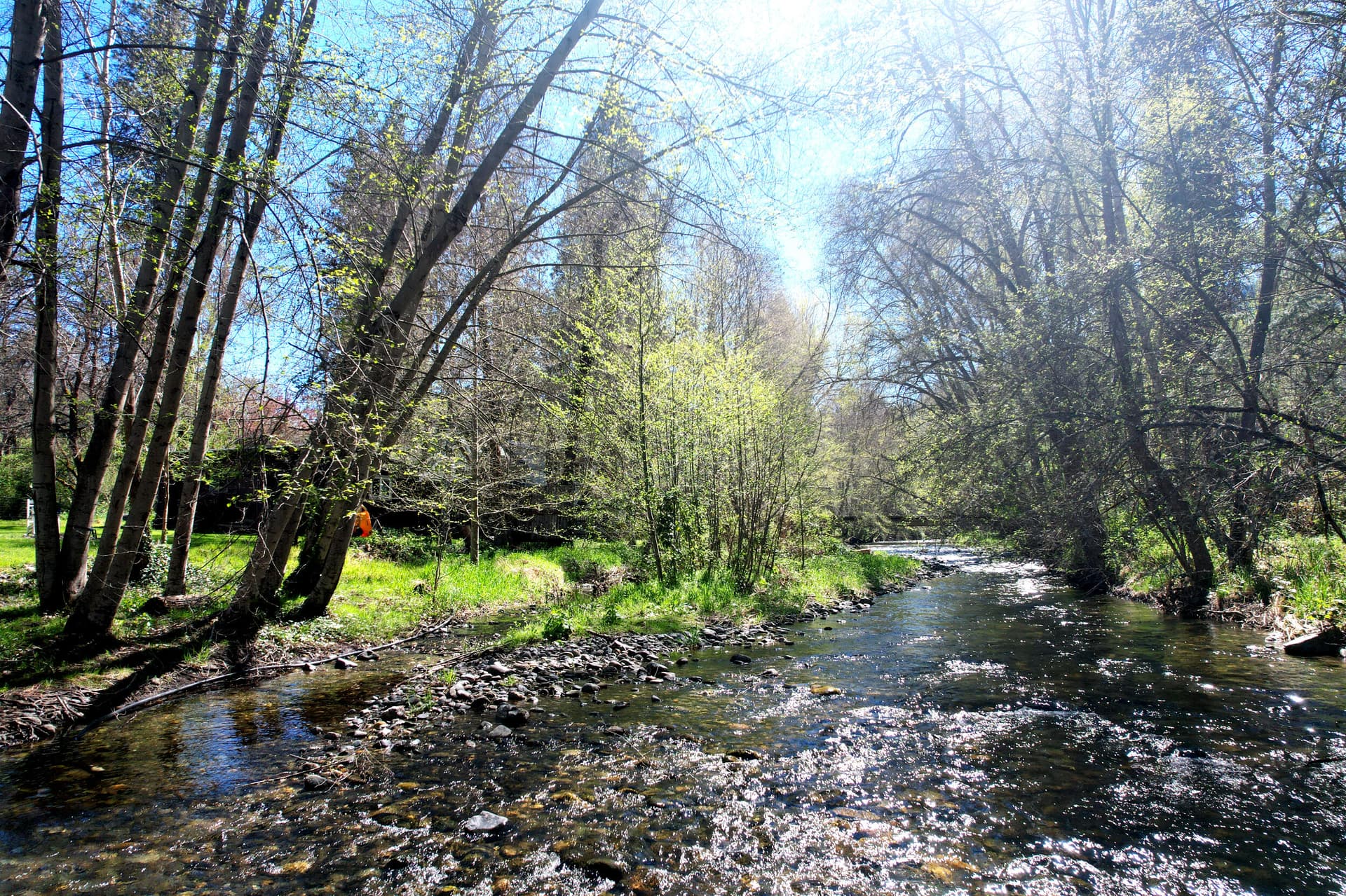 up river (1). Photo 3 of 68, 3356 Little Applegate Road, Jacksonville, OR 97530