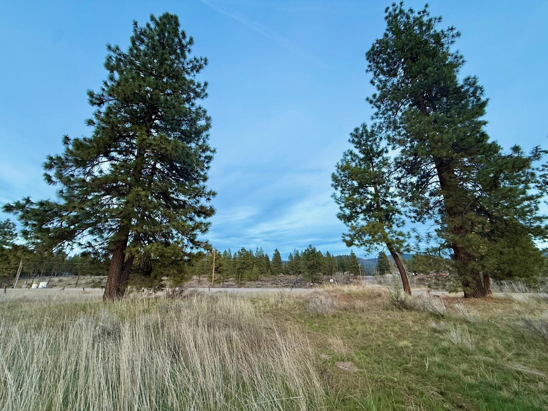 LOT. Photo 4 of 12, 34419 Sundance Drive, Chiloquin, OR 97624