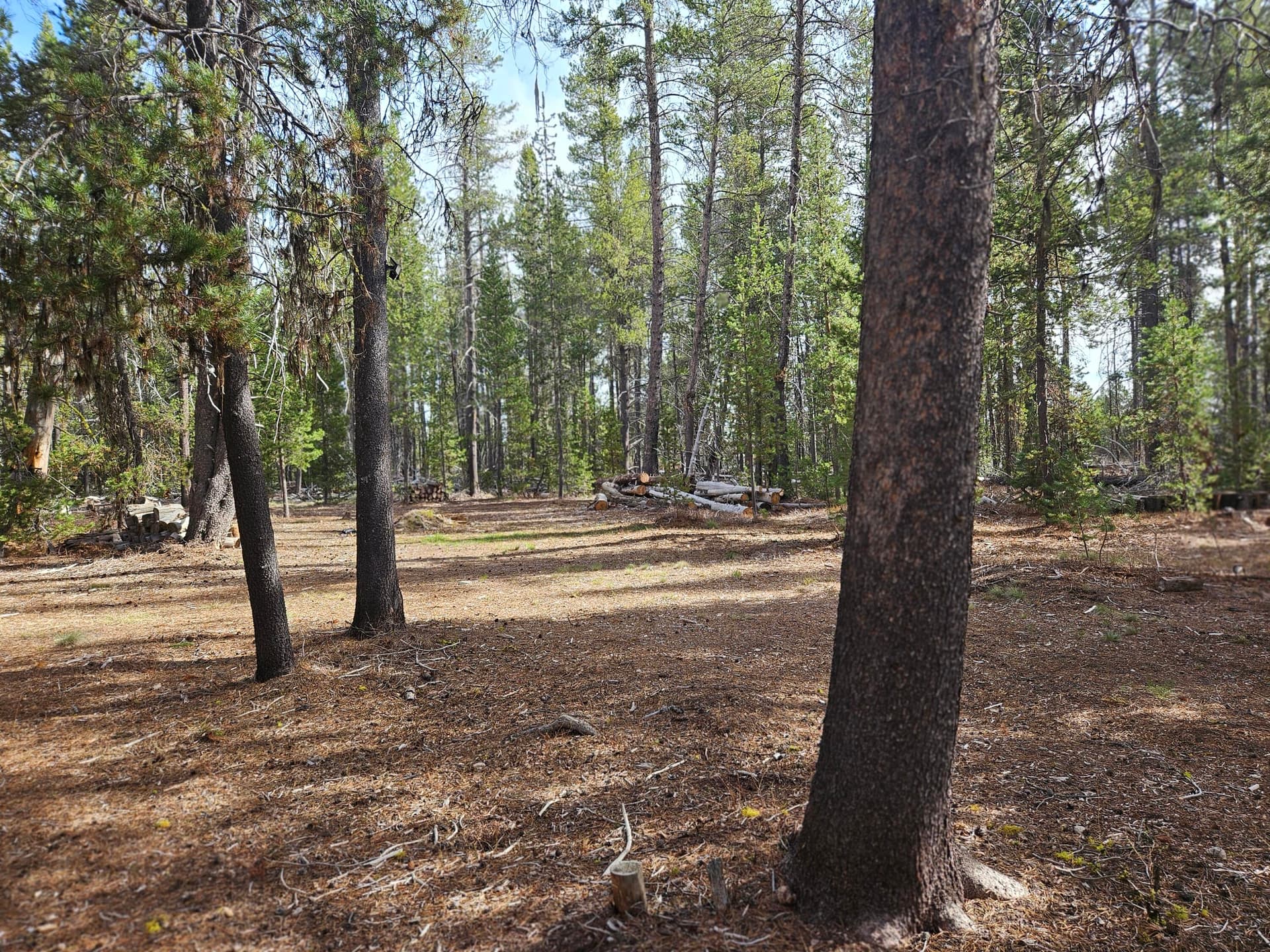 20260405_101540. Photo 4 of 15, 0 Scott View Drive Unit 2 & 3, Chiloquin, OR 97624