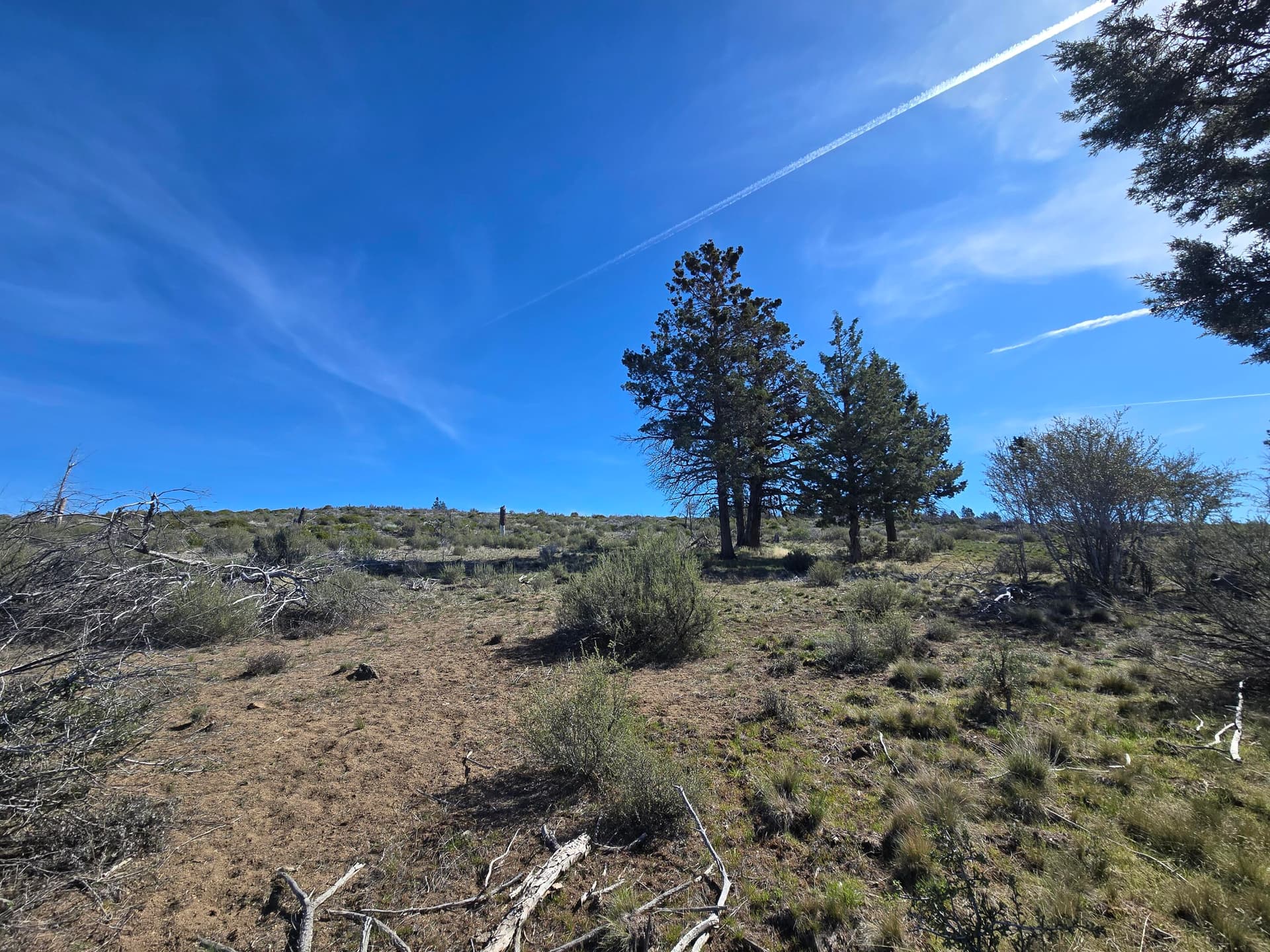 20260404_104425. Photo 1 of 16, 0 Fur Trapper Drive Unit 200, Chiloquin, OR 97624