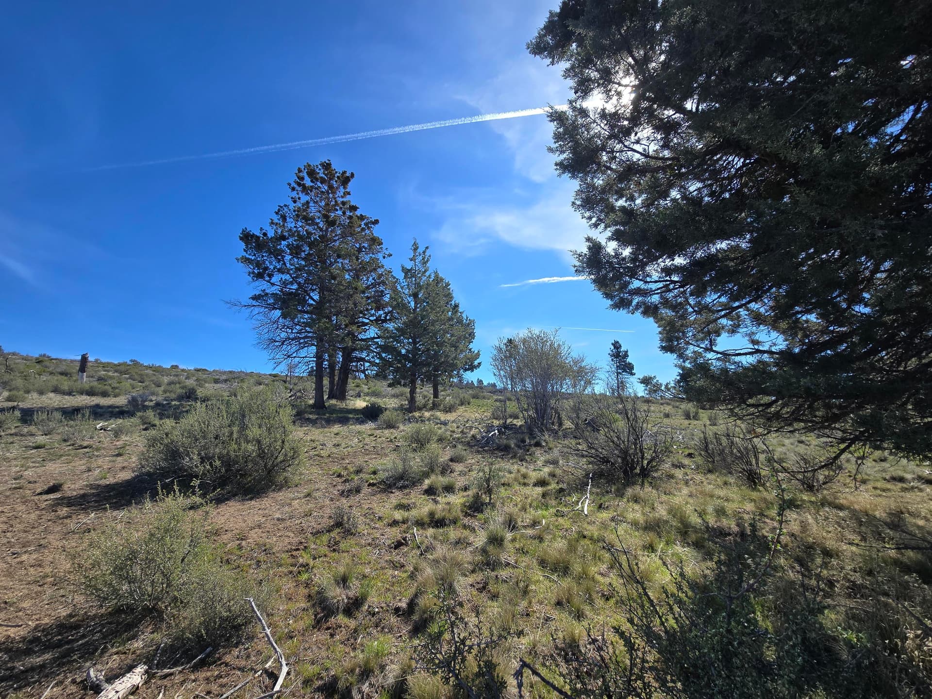 20260404_104427. Photo 2 of 16, 0 Fur Trapper Drive Unit 200, Chiloquin, OR 97624