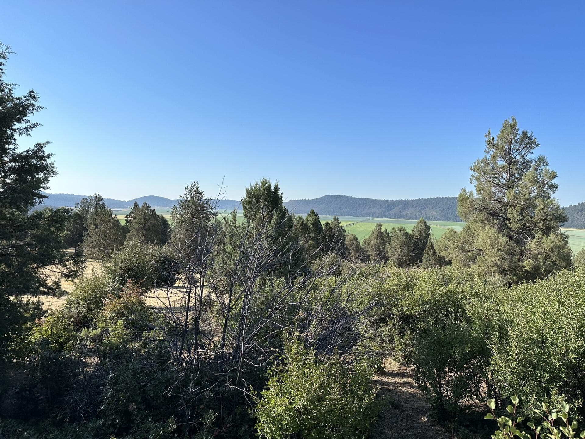 main. Photo 1 of 2, 0 Crossbill Drive Unit lot 1000, Klamath Falls, OR 97601