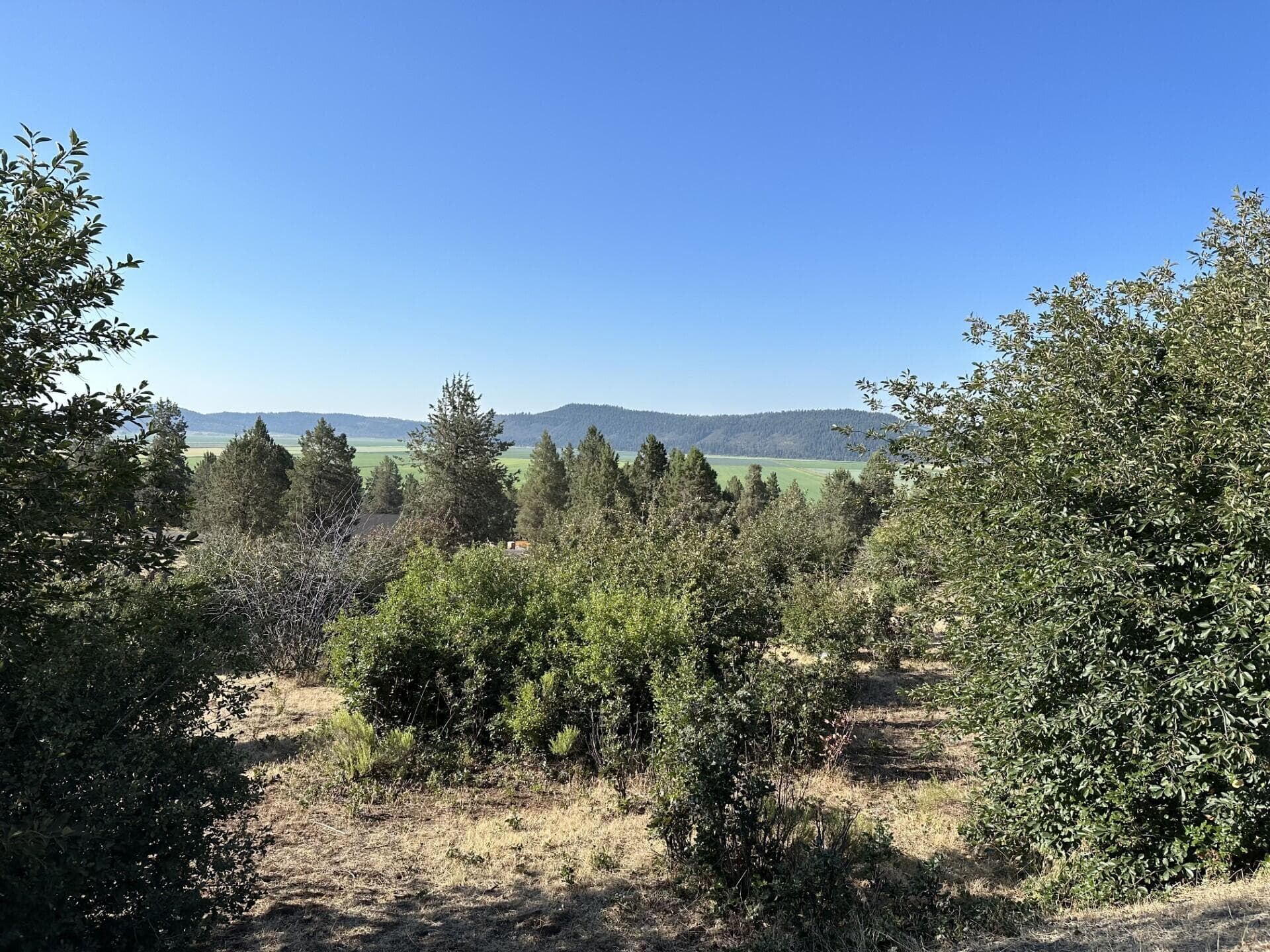 3. Photo 2 of 2, 0 Crossbill Drive Unit lot 1000, Klamath Falls, OR 97601