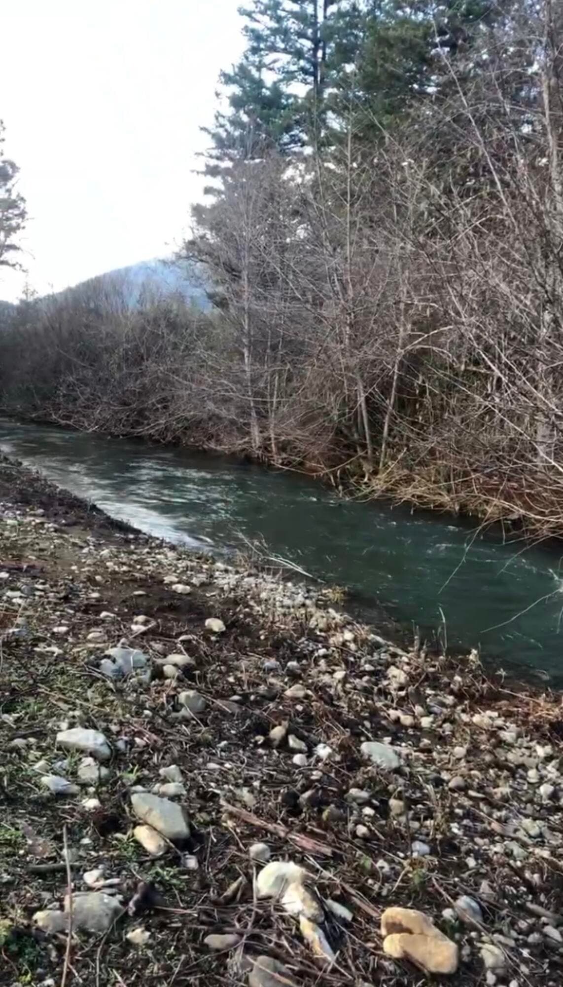 Your own creek. Photo 3 of 75, 18248 Redwood Highway, Selma, OR 97538